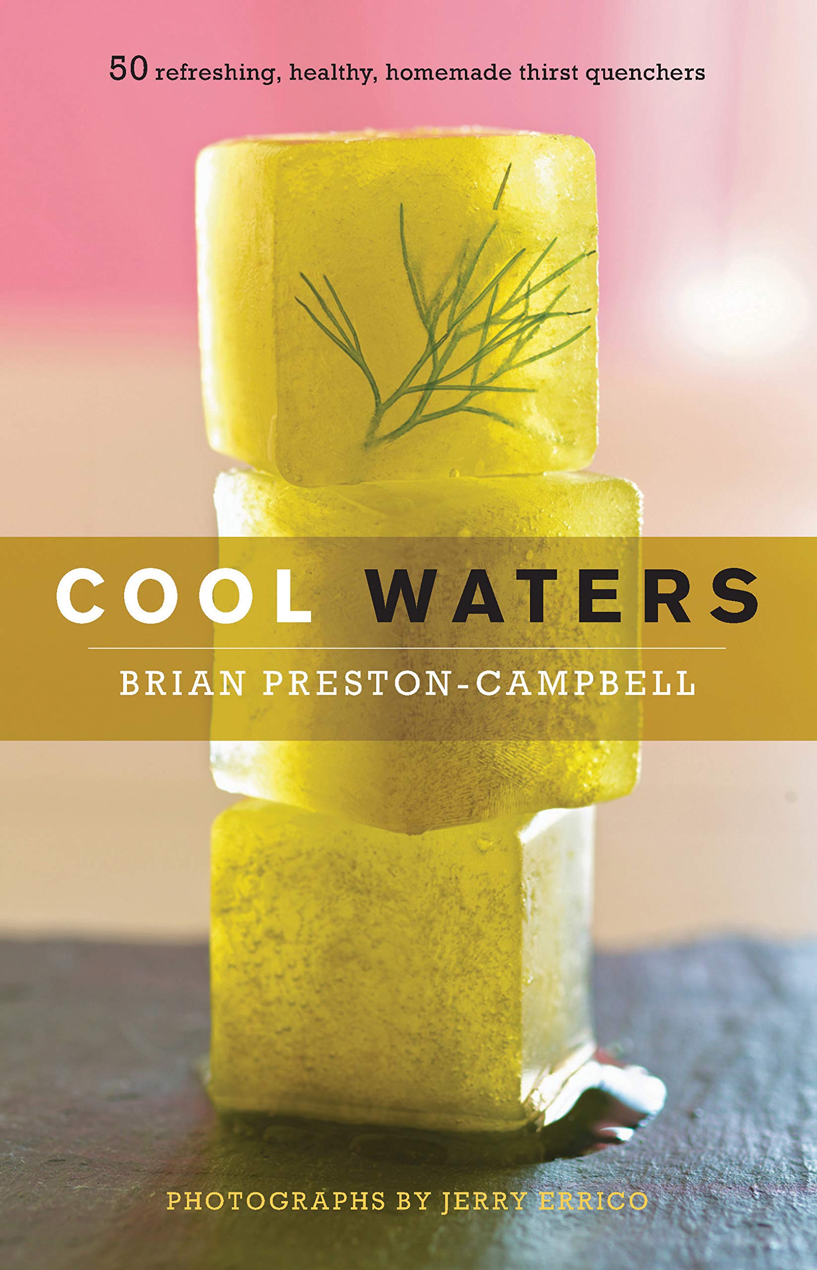Cool Waters: 50 Refreshing, Healthy, Homemade Thirst Quenchers [Hardcover] Preston-Campbell, Brian