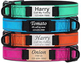 TagME Hundehalsband Personalisiert mit Namensschild für Kleine Hunde, Reflektierendes Gepolstertes Nylon-Halsband mit ID-Anhänger, 12 Farben & 3 Schriftarten product image