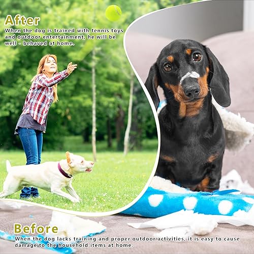 Miniatura 7 de Magicorange Paquete de 6 pelotas de tenis pequeñas, pelotas de tenis de 2 pulgadas para perros, pelota colorida y fácil de atrapar para mascotas