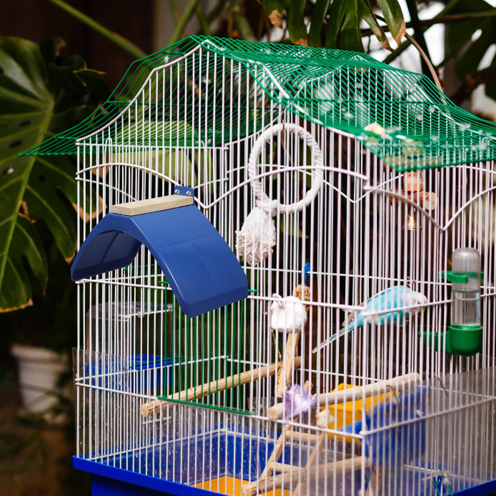 10pièces Perchoir pour Pigeons Support de Repos pour Volatiles Jouet pour Perroquets et Autres Oiseaux