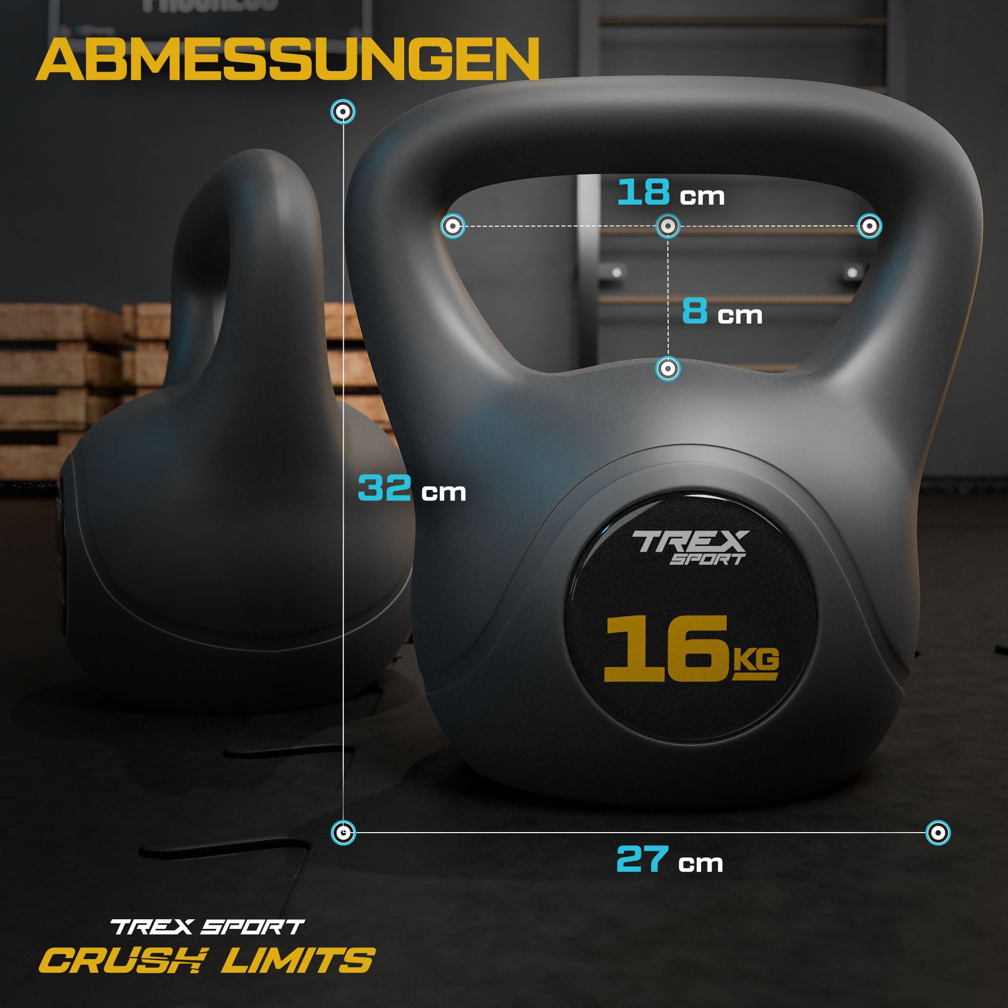 TREX SPORT Kettlebell 6kg, 8kg, 10kg, 12kg, 16kg, 20kg TX-006-020CKB | Kugelhantel & Kugelgewichte für Ganzkörper-Workout | rutschfester Griff, bodenschonend