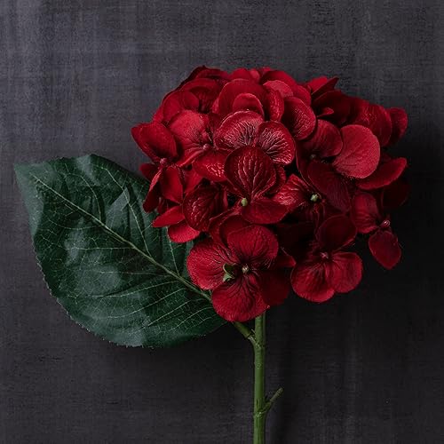 Miniatura 7 de Ashland Tallo de hortensia