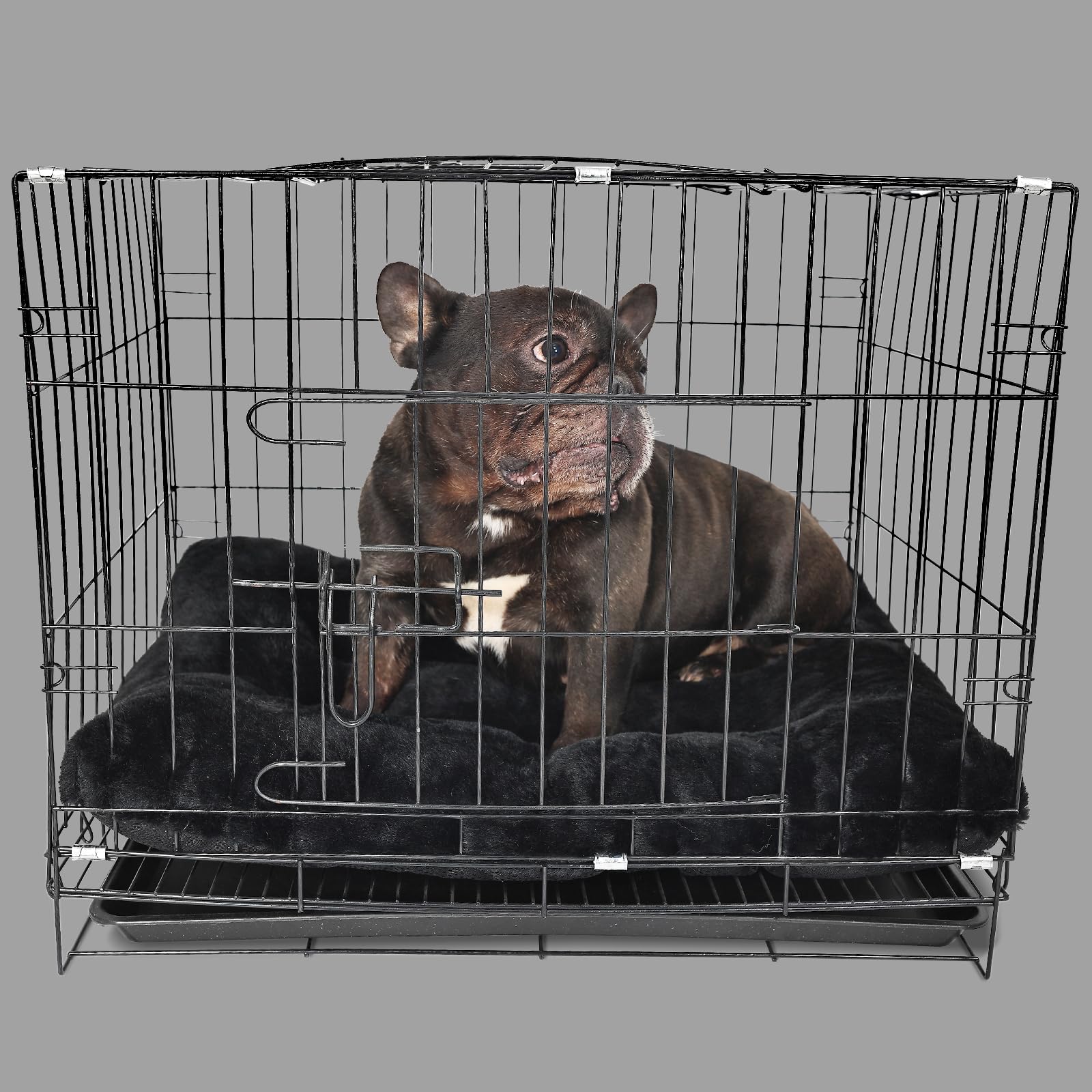 Hundekäfigbett Waschbar – Weiche Matte 61x45 Cm Mit Rutschfester Unterseite Für Kleine Hunde