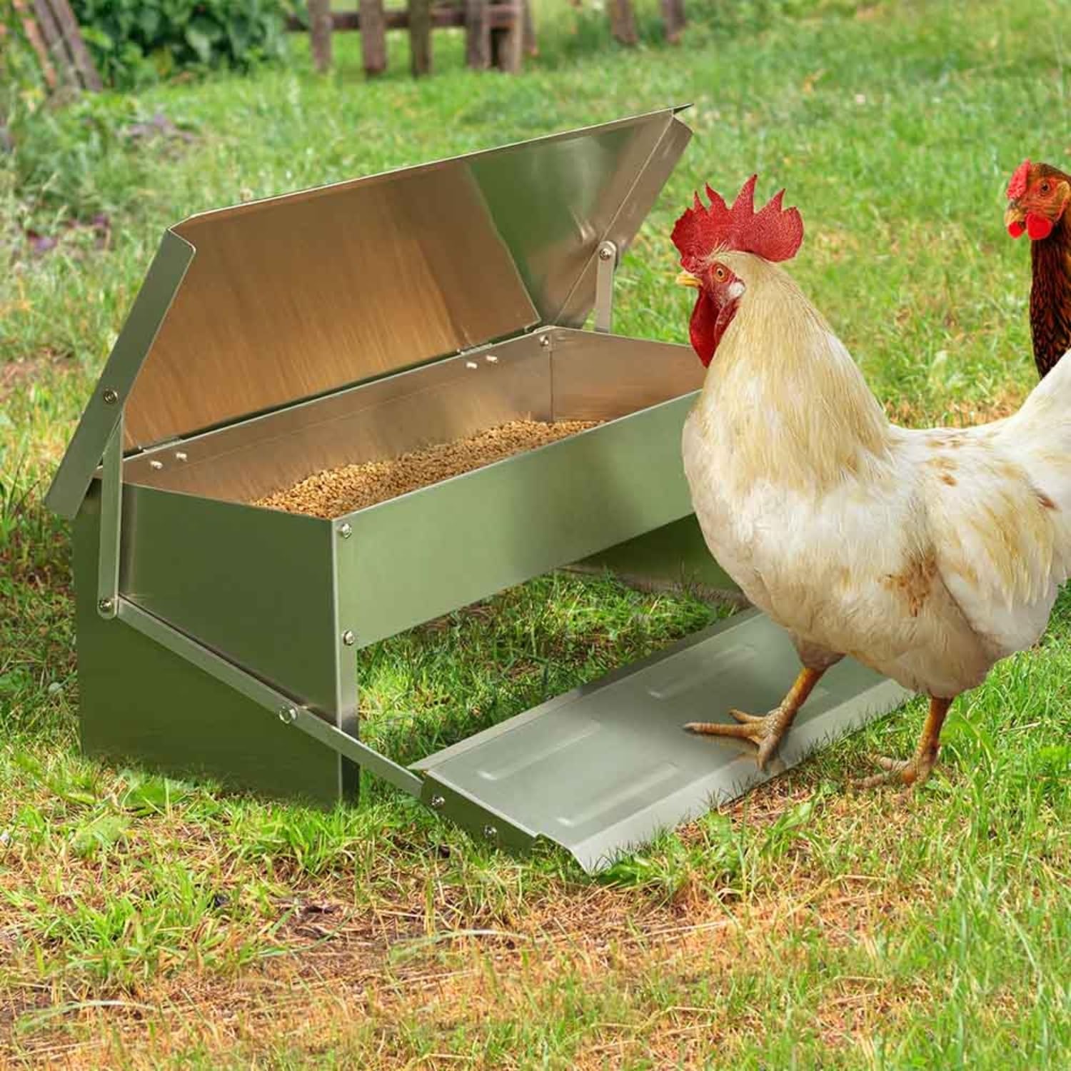 TERRE JARDIN - Mangeoire Poules, 5 kg, XL - Mangeoire Poules Anti Nuisible, Acier Galvanisé - Automatique, Anti Gaspillage, Étanche, Refermable à Pédale, Anti Rangeurs, Oiseaux