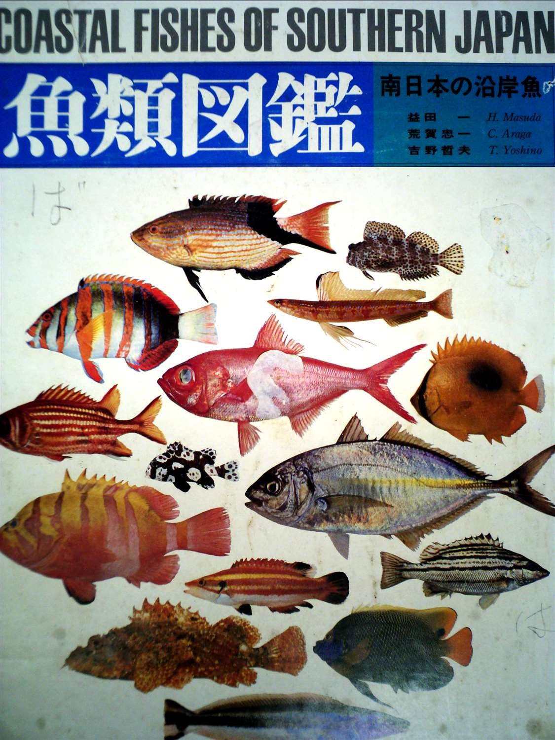 魚類図鑑 南日本の沿岸魚 (1975年) 図鑑東海大学海洋学部 東海大学出版会 魚類図鑑―南日本の沿岸魚 (1975年) |本 | 通販 | Amazon