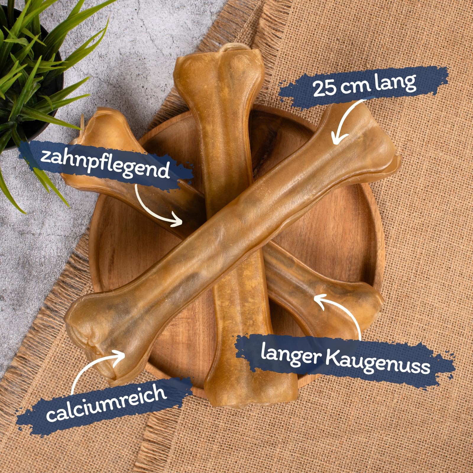 Lyra Pet® 10 os à mâcher en Peau de bœuf env. 25 cm, Snack séché Chiens | Os pour chiens riche en protéines | Hygiène dentaire | Long plaisir à mâcher | Naturel & pauvre en graisses