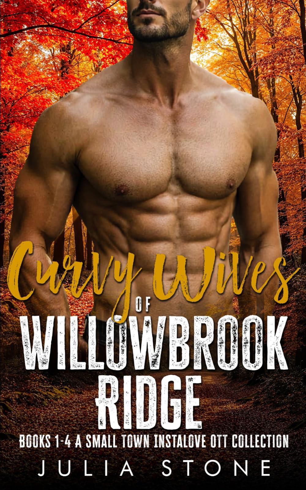 Curvy Wives of Willowbrook Ridge: Books 1 - 4 A Small Town Instalove OTT Short Romance (Collections and Bundles)