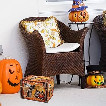 81tXA69w3CL._AC_UF350,