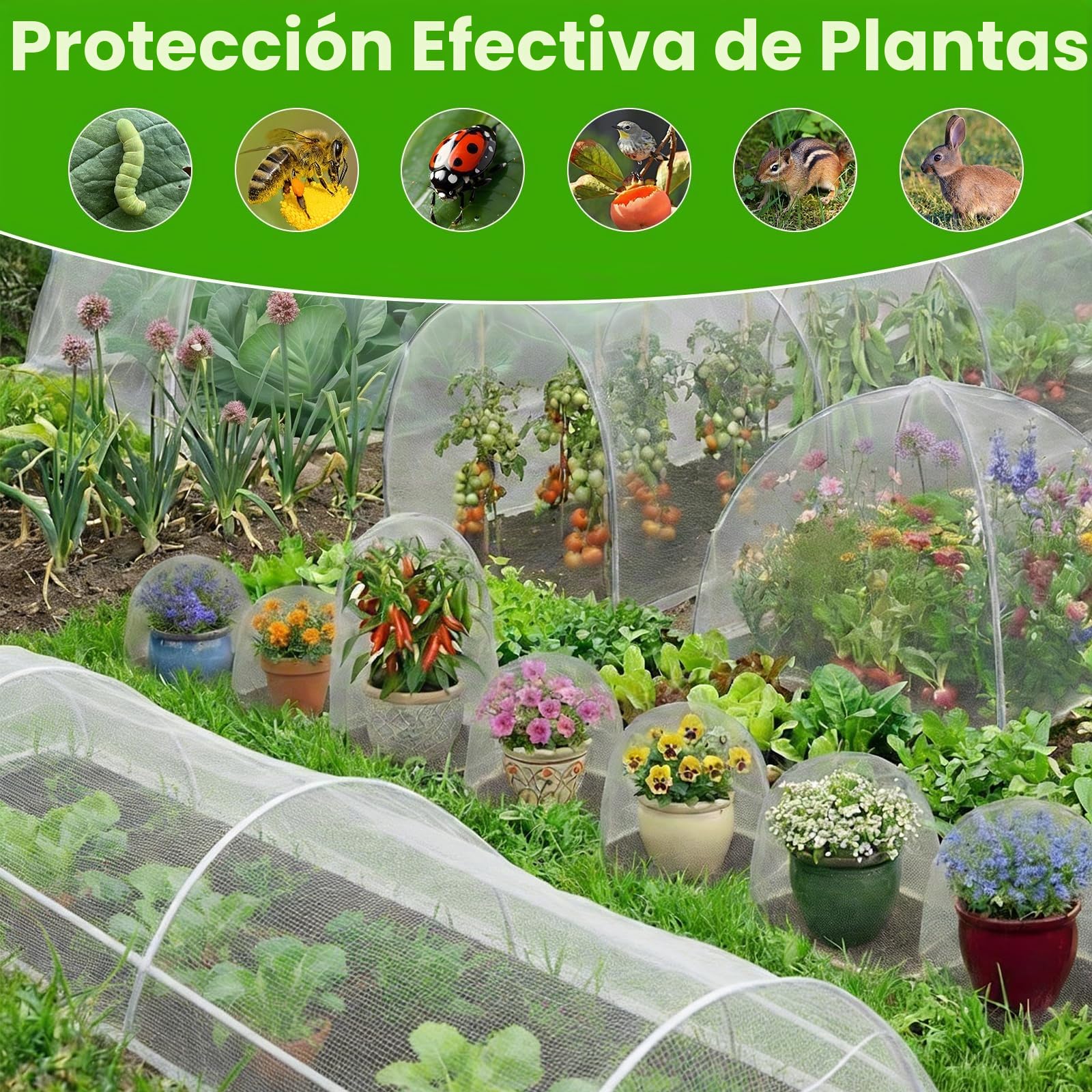Malla Protectora para Plantas, Red Anti-Insectos y Anti-Aves para Huerto con Bridas y Tijeras Incluidas, Frutales y Invernadero, Protección para Verduras, Frutas y Cultivos de Jardín (3 x 10m)