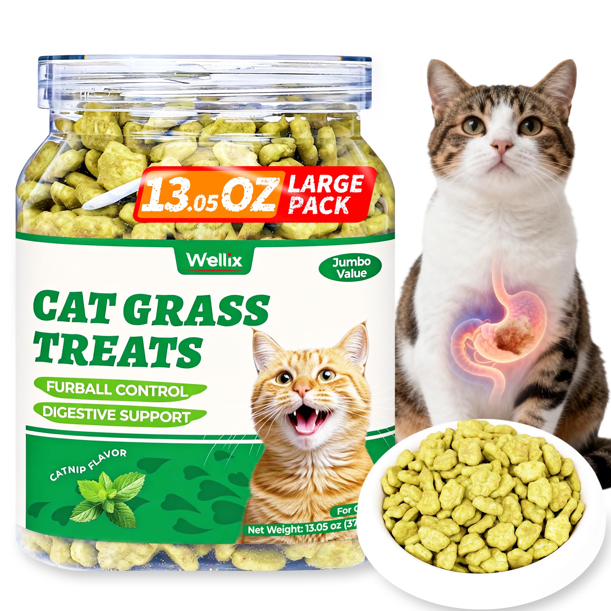 Wellix Cat Grass Treats with Catnip & Salmon - Healthy Cat Treats - 370g
