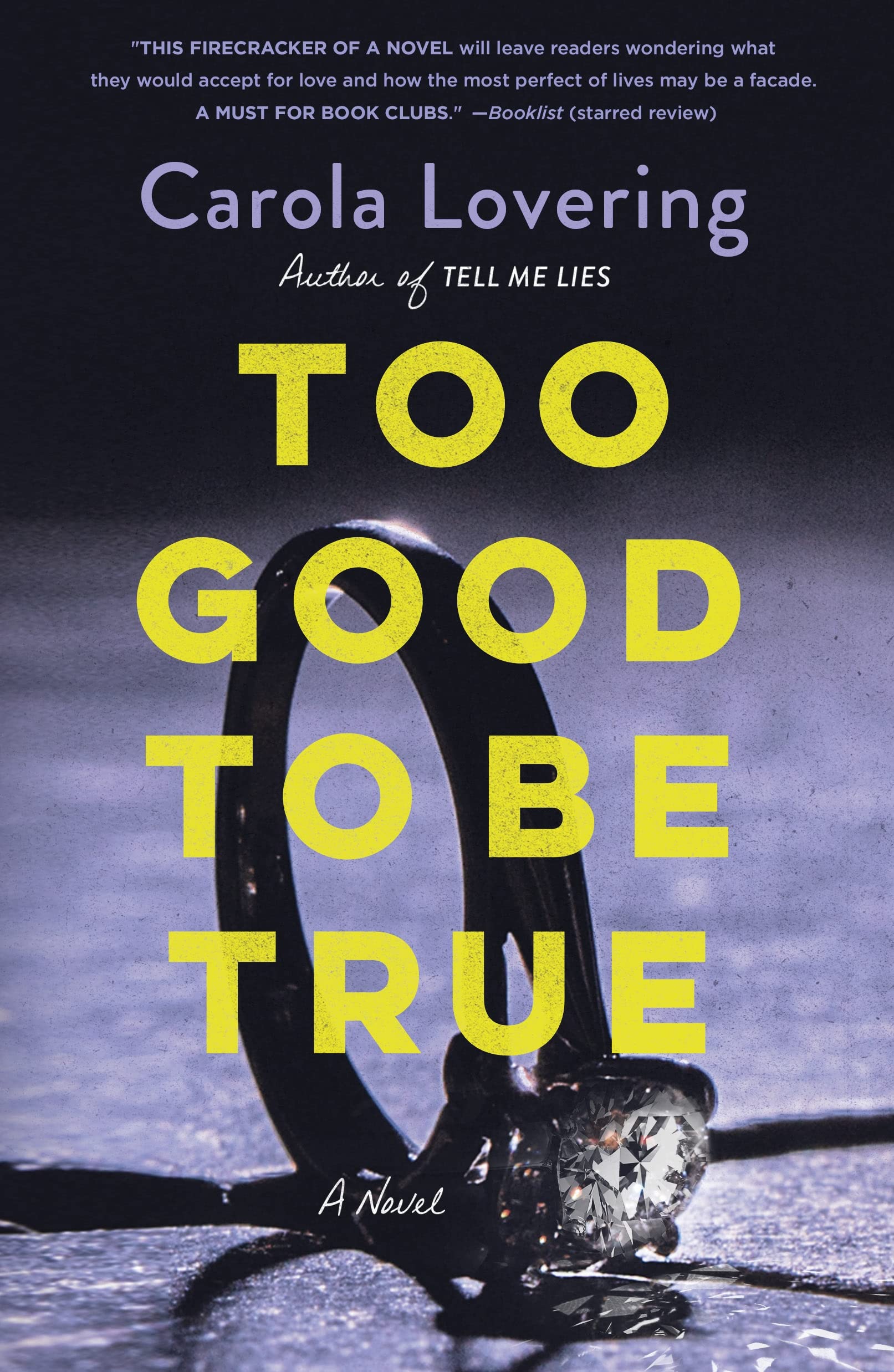 Too Good to Be True: A Novel