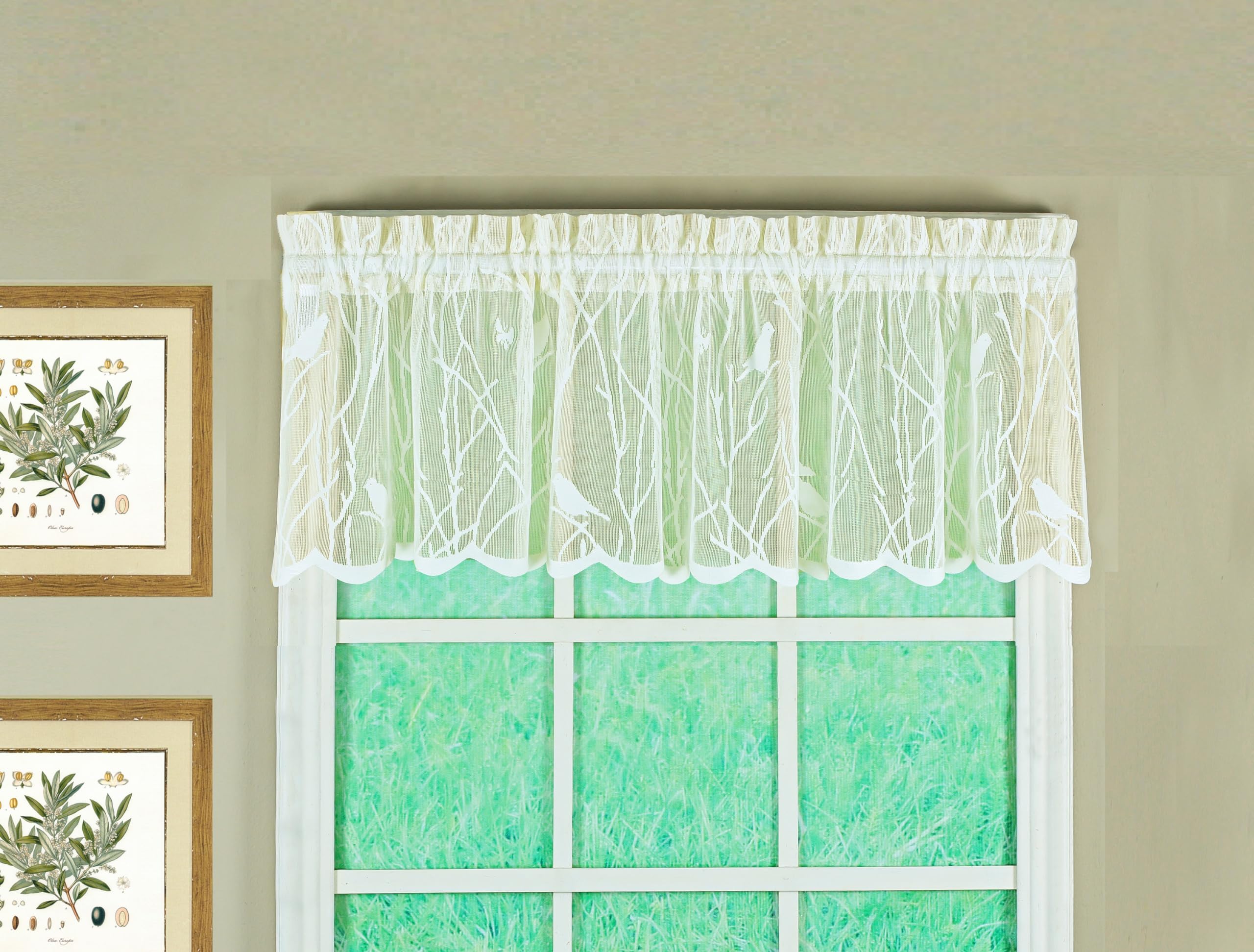 Today's Curtain, Songbird Semi-Sheer Lace Valance 12", Ivory, 56" W x 12" L