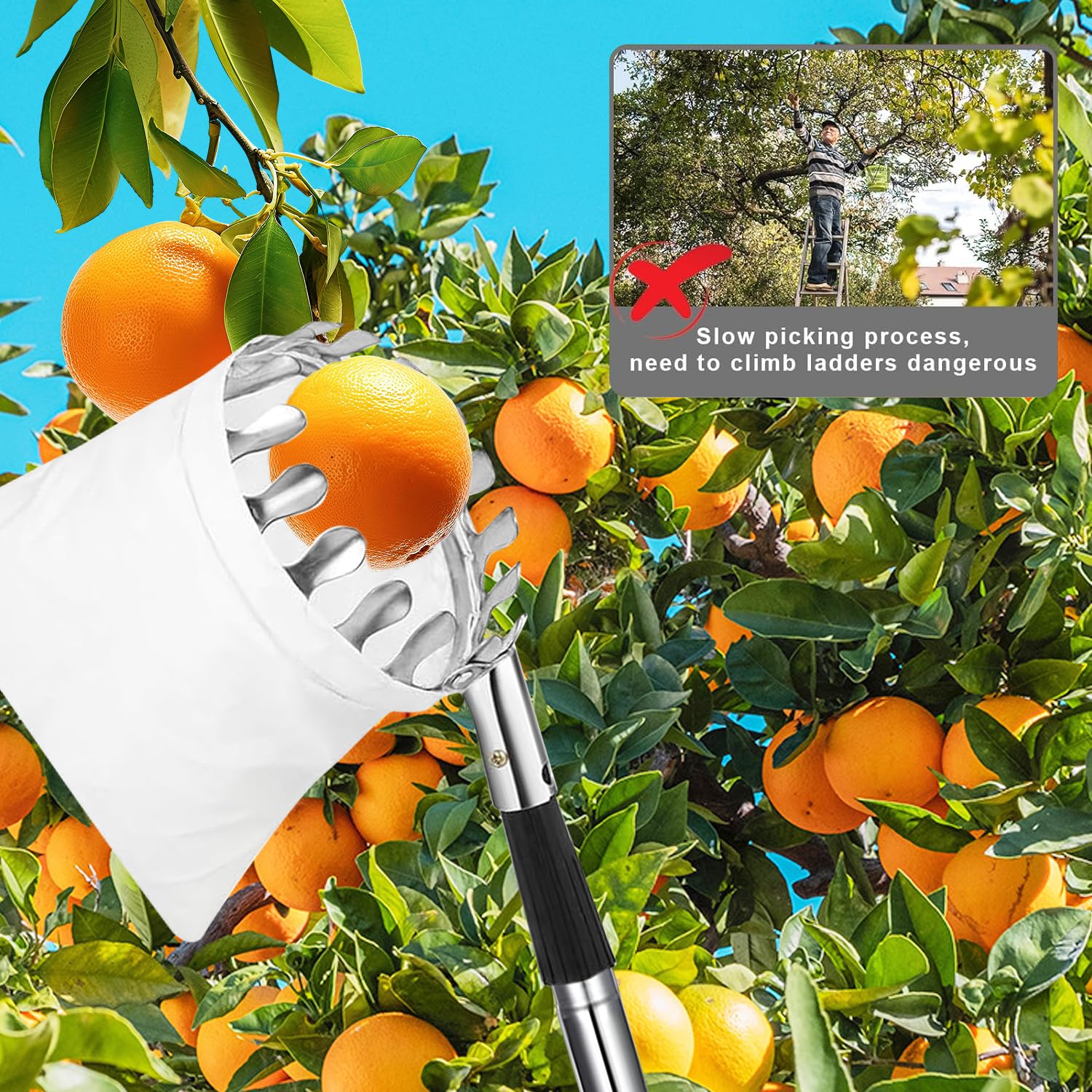 Recogedor de Frutas, 4.2M Recogedor de Frutas Telescopico,Inoxidable Ajustable Recogedor de Frutas Recoge Frutas de árboles con Bolsa de Algodón Engrosada para Manzana Cereza Higo Mango etc