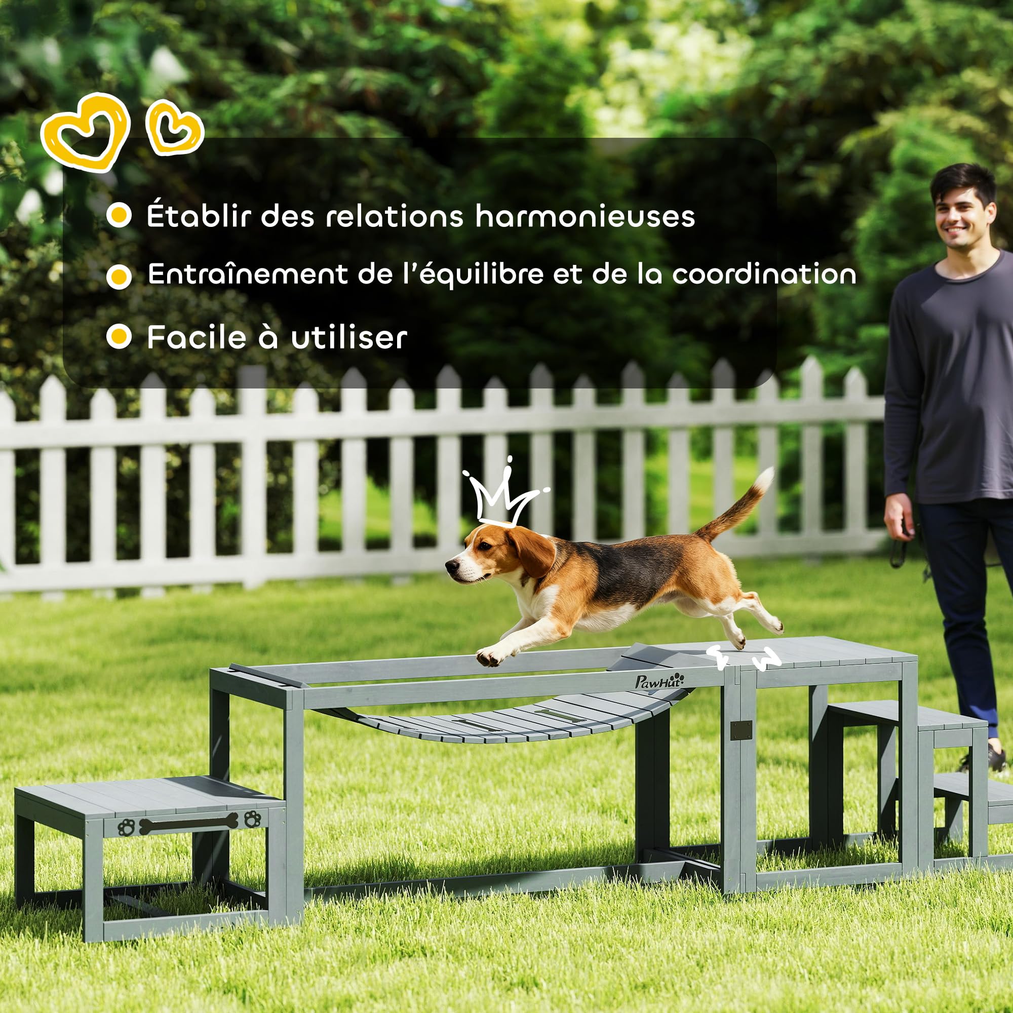 PawHut Equipo de Entrenamiento Agilidad para Perros 3 Piezas Gris | Kit de Agilidad para Perros, 3 Piezas, Plataforma de Pausa, Escalera, Madera Maciza, Material de Propiedocepción
