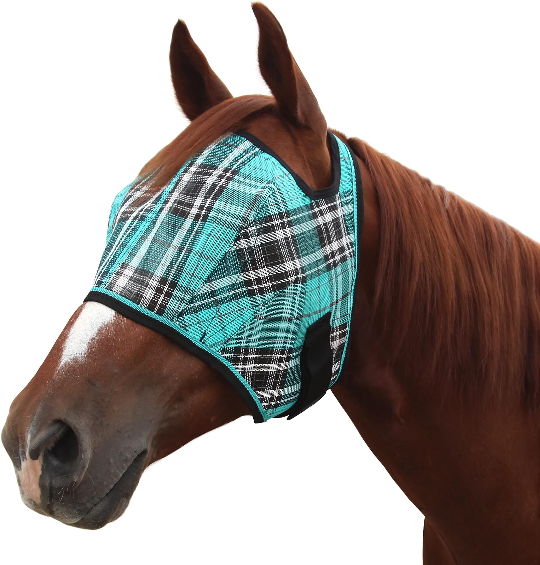 Kensington Fly Mask Web Trim โ Protects Horses Face and Eyes From Biting Insects and UV Rays While Allowing Full Visibility โ Ears and Forelock Able to Come Through the Mask (Medium, Black Ice)