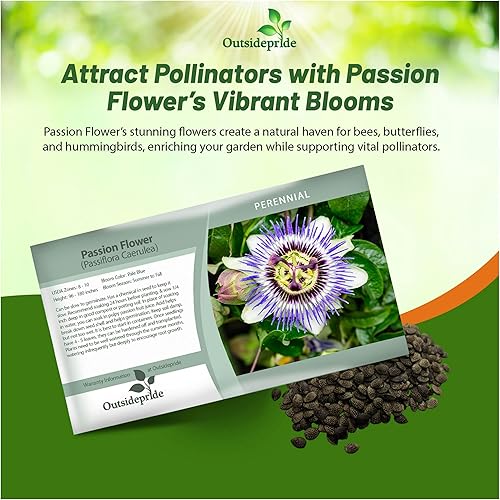 Miniatura 6 de Outsidepride Semillas de flor de la pasión, 100 unidades. Semillas perennes, de rápido crecimiento y aptas para polinizadores, semillas de flores