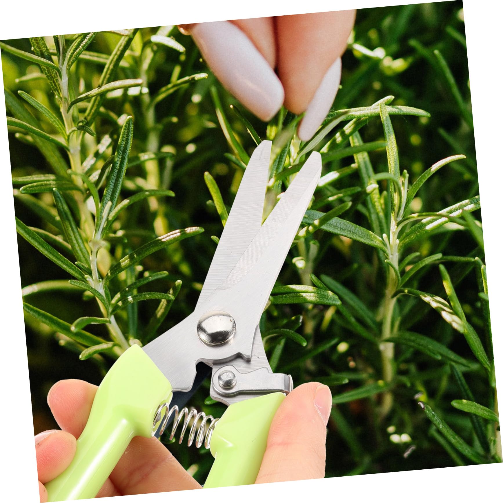 UPKOCH 4 Sätze Garten Astschneider Pflanzenschneider Für Gemüse Ergonomische Und Praktische Gartenschere Für Präzises Und Trimmen Sträuchern 2 Stück * 4