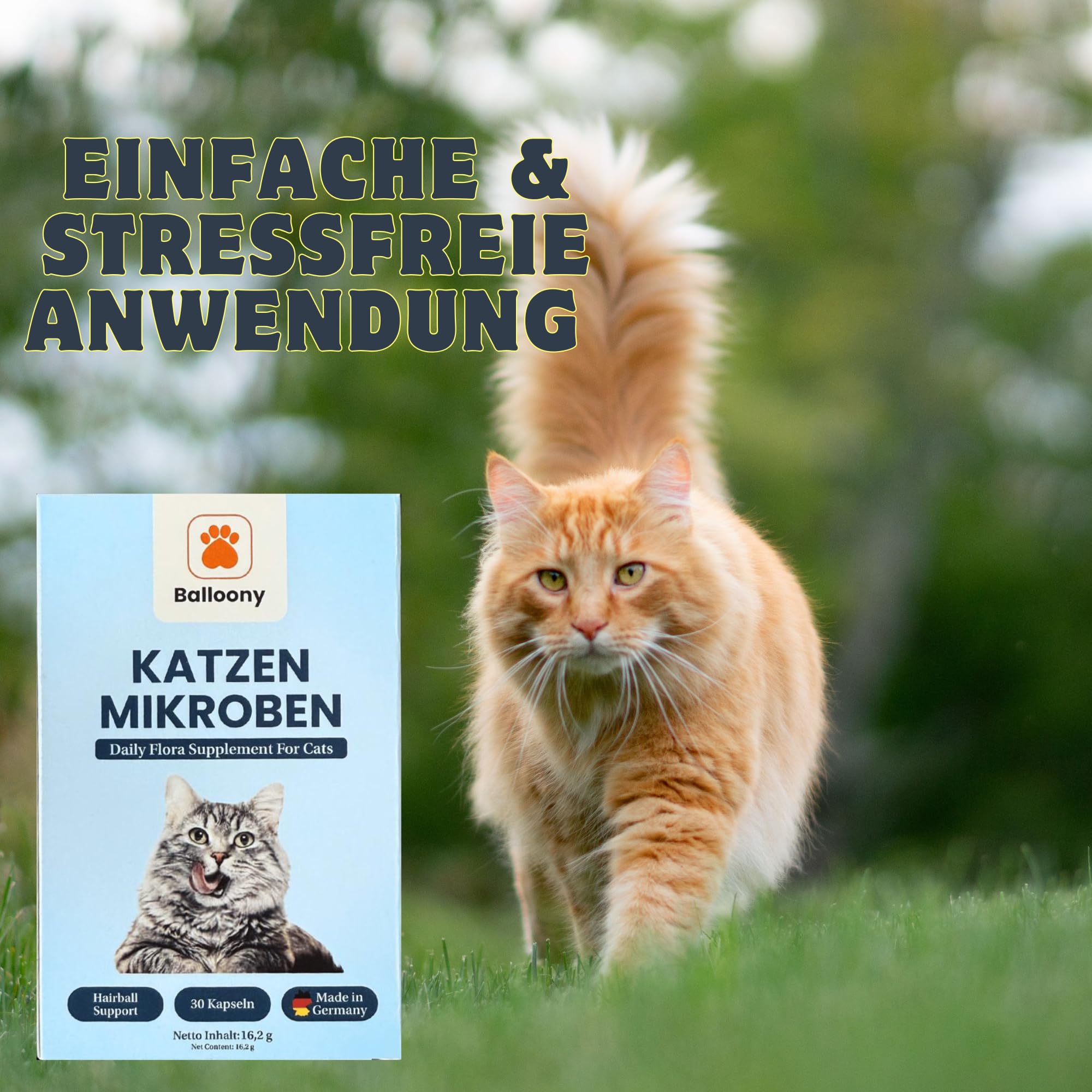 Katzen Mikroben – Premium Probiotika für eine optimale Darmgesundheit 16.2g (30 Kapseln)