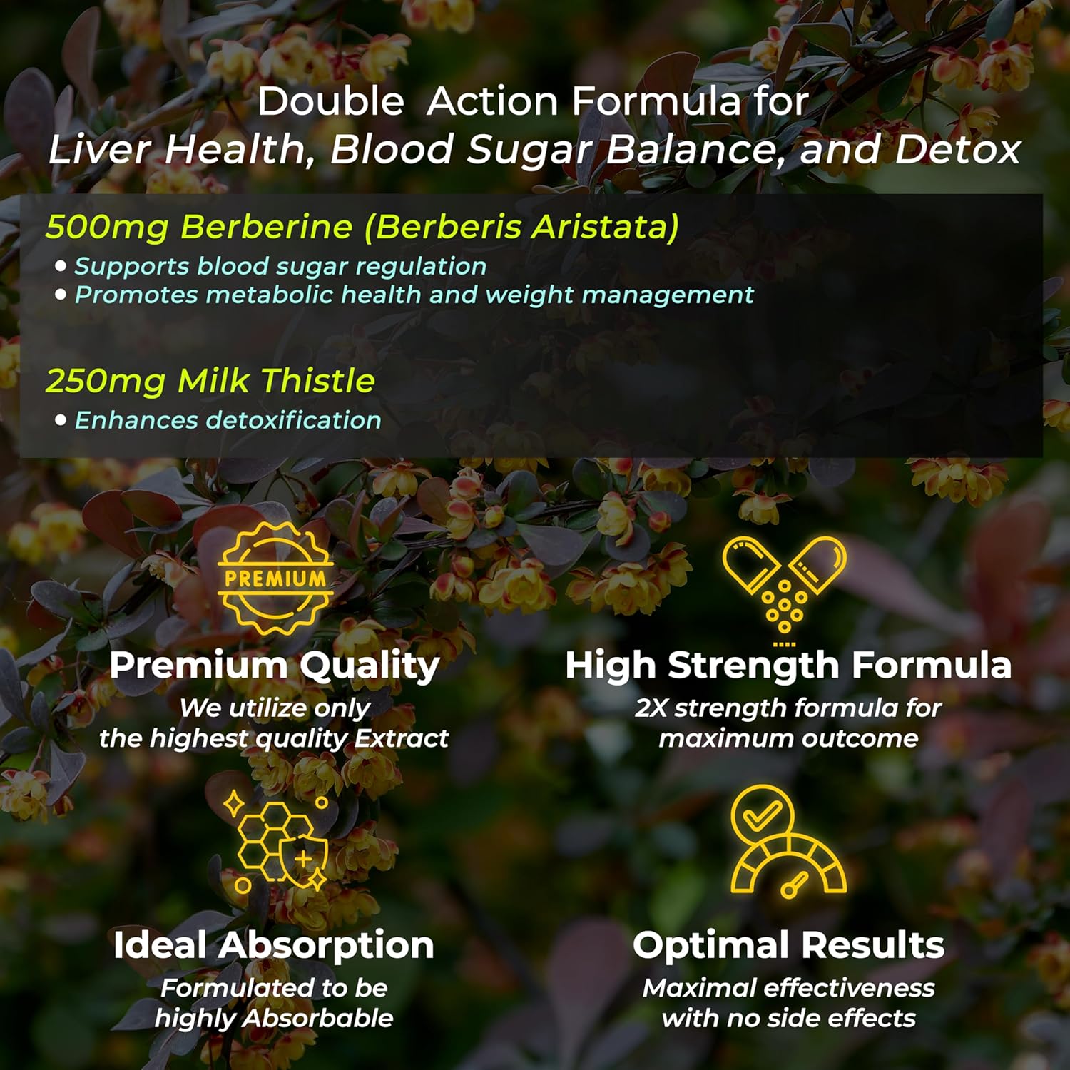 Buy Now Health Veda Organics Berberis Aristata (Berberine 98%) | 60 ... 5 Buy Now Health Veda Organics Berberis Aristata (Berberine 98%) | 60 ...