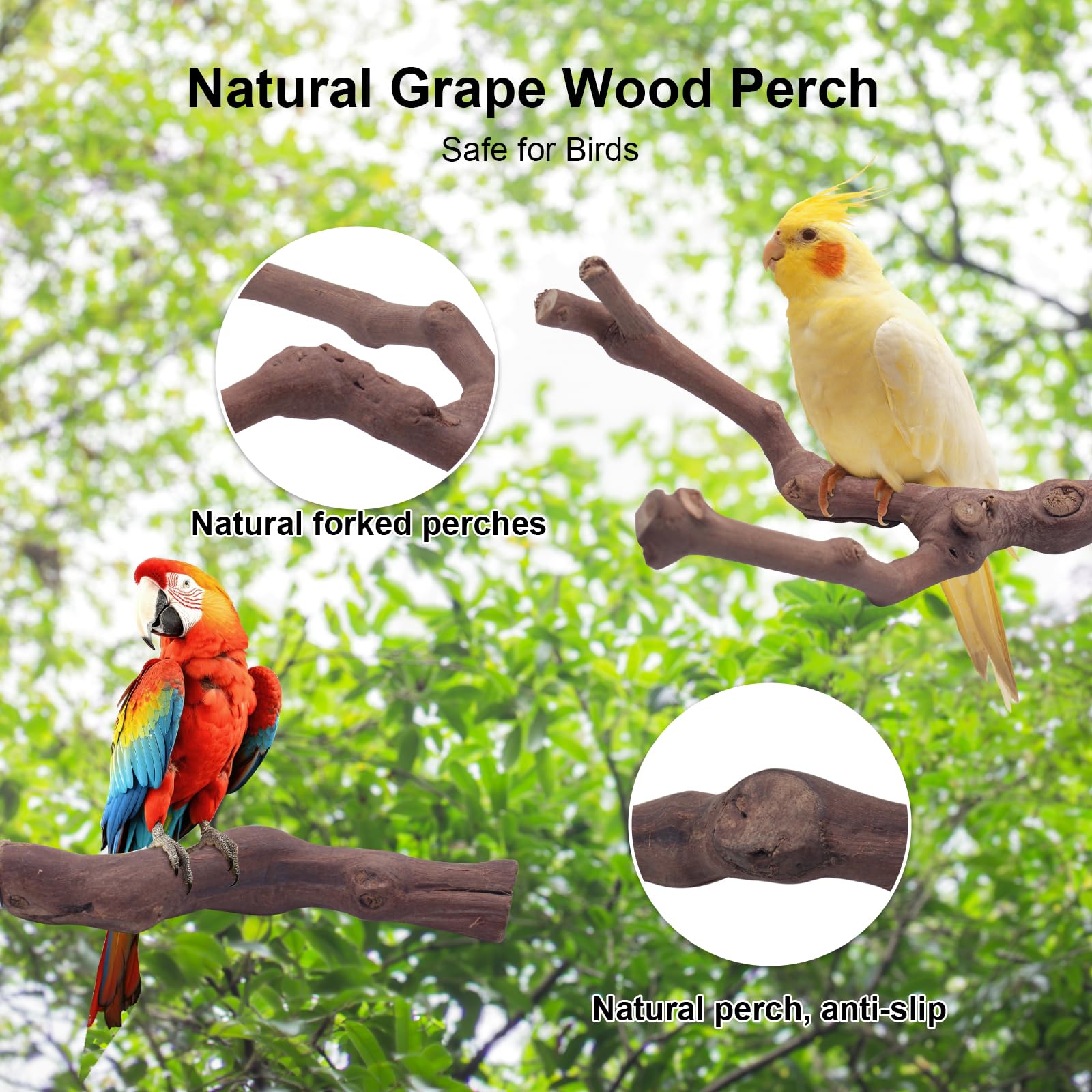 6PCS Bird Perches Natural Parrot Perch Stand for Cage, Grape Wood Stands, Bird Platforms, Parakeets Paw Grinding Fork Exercise Toys Set for Cockatiels, Conure, Parrot - image 2