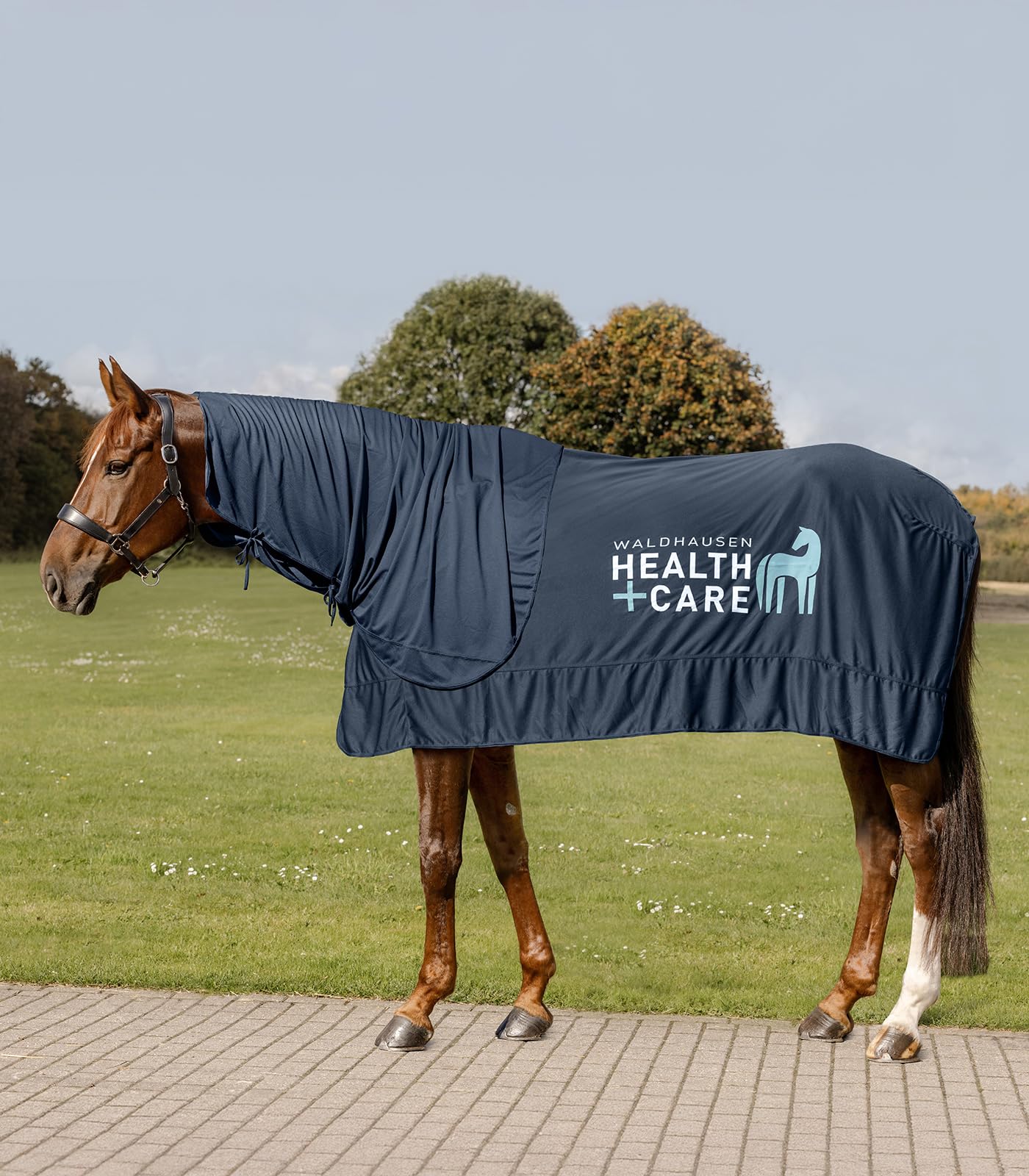 Waldhausen Health + Care Ice-Layer - Coperta 115 cm, colore: Blu notte