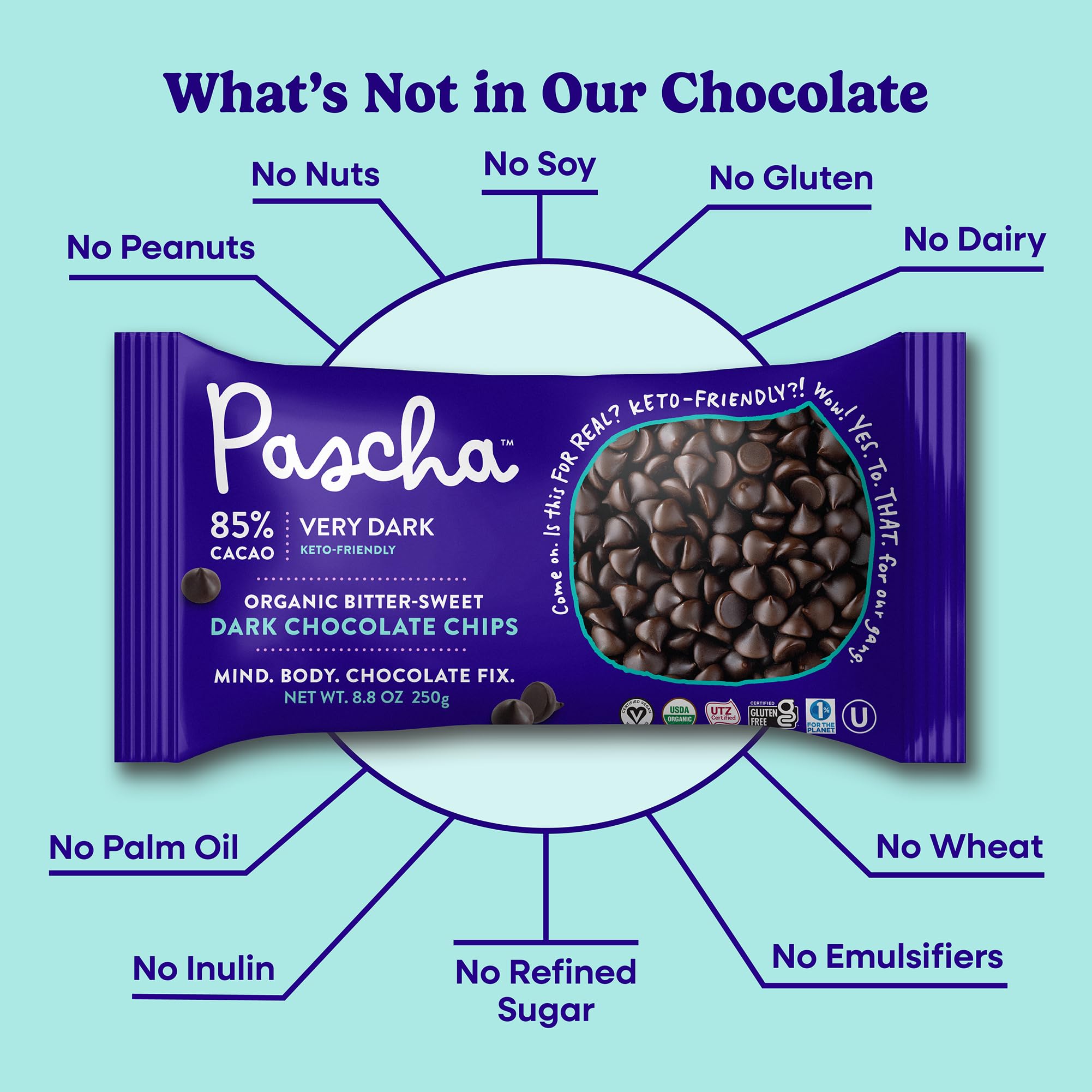 Amazon.com: Pascha Organic Allergen-Free Bittersweet Dark