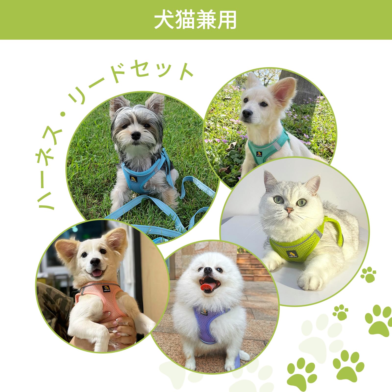 Amazon | BELLA & PAL 犬用 ハーネス リード セット 小型犬 超小型犬
