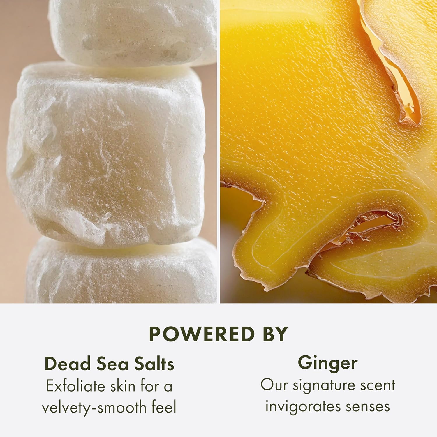 Origins Ginger Smoothing Body Scrub | Smooths & Softens | With Ginger & Dead Sea Salts, 21.2 Ounce - Image 4