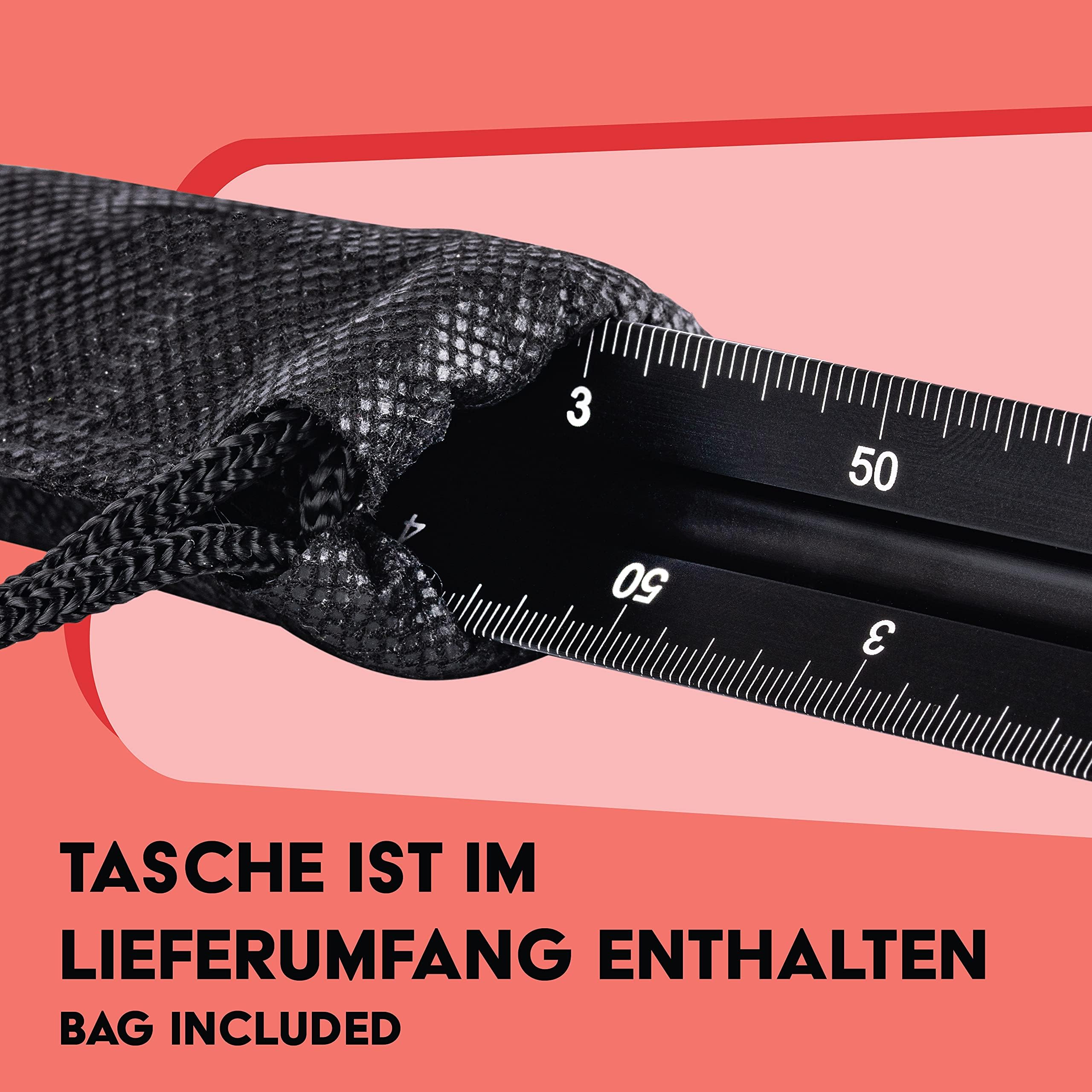 WINTEX Escalímetro Profesional - Regla Triangular de Aluminio - 30 cm - 1:20 1:50 1:75 1:100 1:125 - Con Bolsa de Transporte