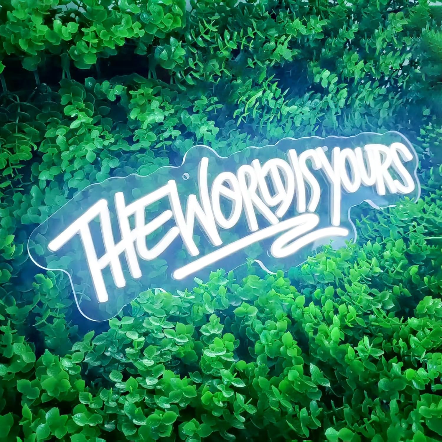 The World is Yours Neon Sign Dimmable World Yours LED Sign for Wall Decor USB Powered Neon Light for Man Cave Home Bar Bistro Club Cafe Wedding Game Room Birthday Gift Graduation Party