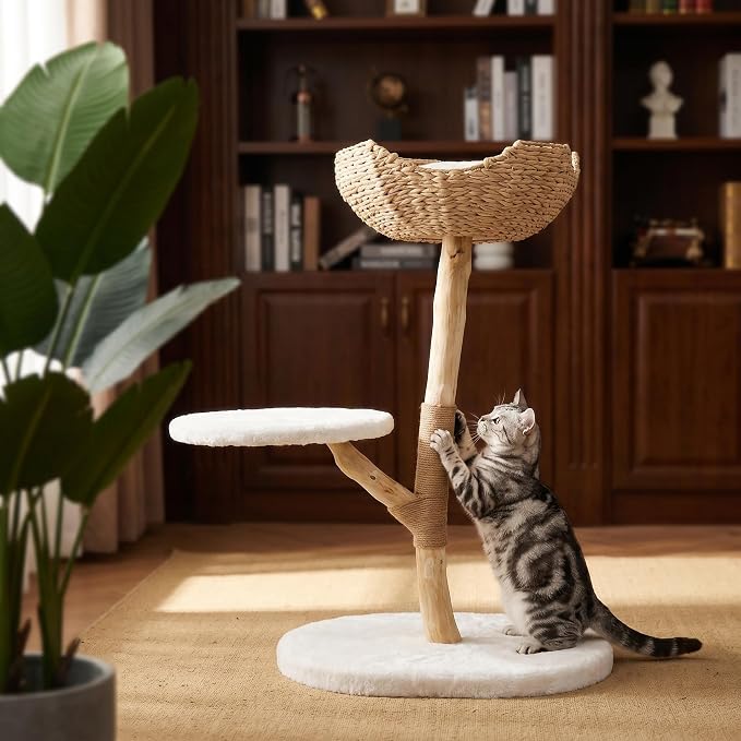 Árbol rascador para gatos de madera natural de pera 35 in miniatura 8