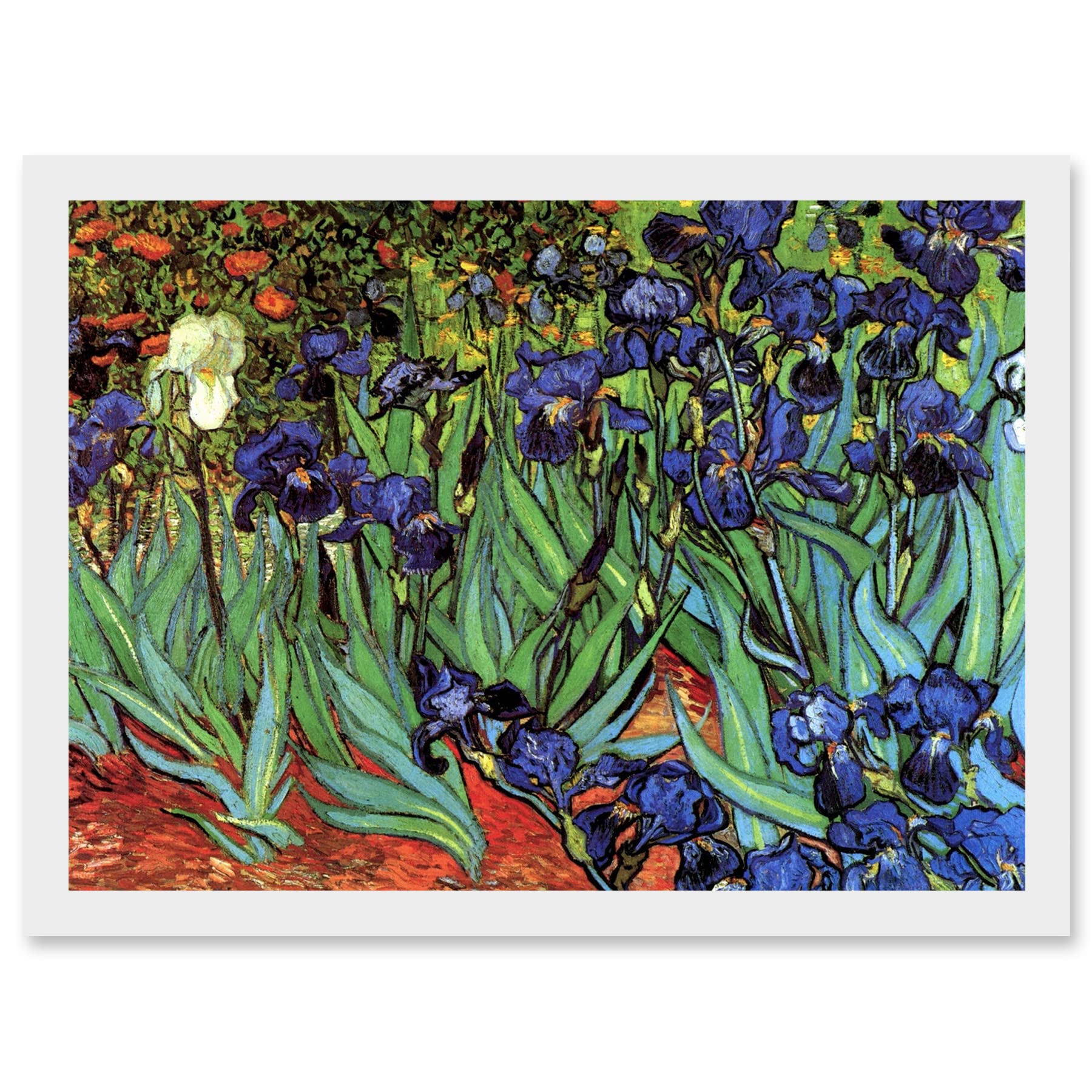 Wee Blue Coo Vincent Van Gogh Irises Artwork Framed Wall Art Print A4