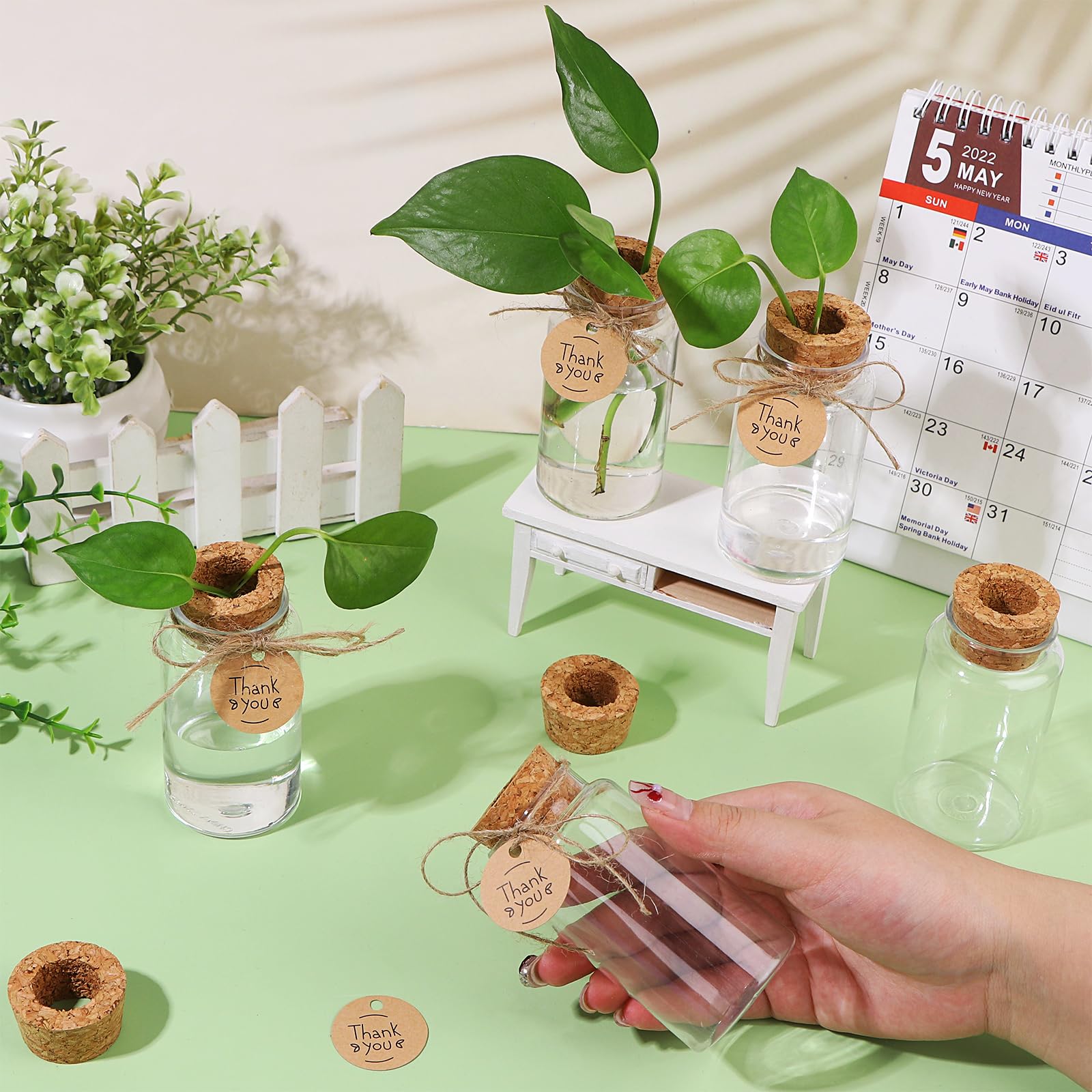 36 paquetes de estaciones de propagación de plantas con tapa de agujero, botellas de cultivo de plástico transparente, recipientes hidropónicos de mesa con etiquetas de agradecimiento para el