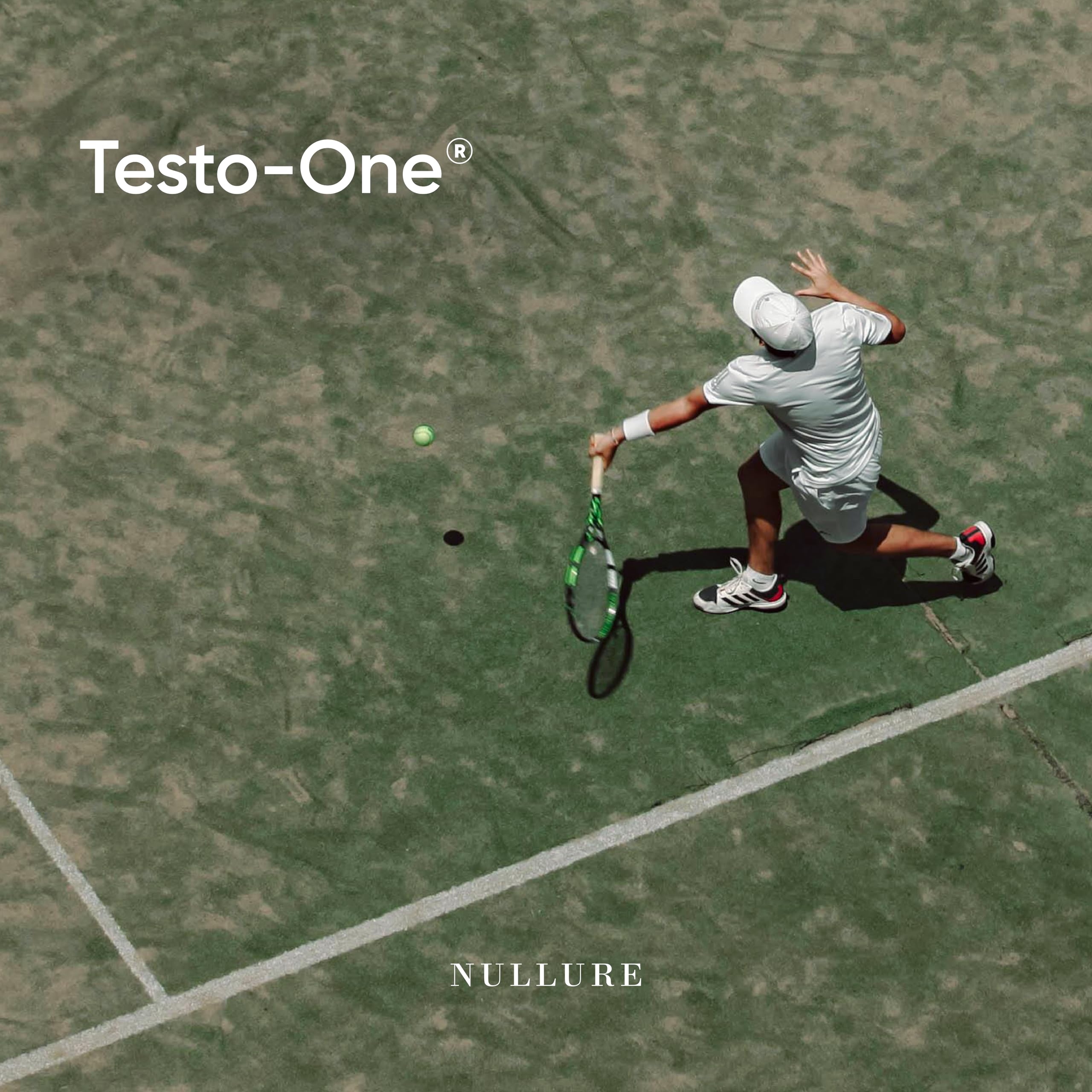 Nullure Testo-One Testosteron¹ Kapseln | Vegan & Ohne Magnesiumstearat | Unabhängig getestet in Deutschland | Ashwagandha + Maca + Tribulus + Bockshornklee + Ginseng + Zink | 120 Stück (2 Monate)