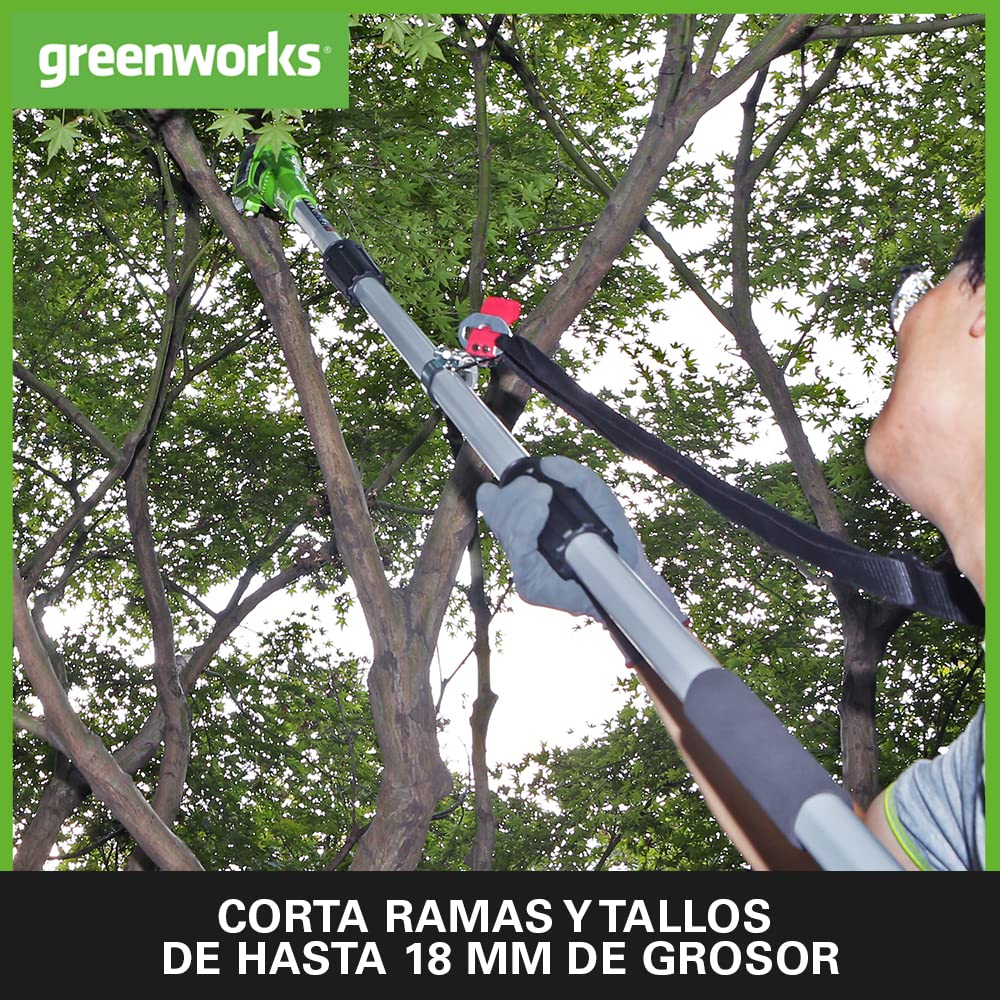 Greenworks G24PSHK2 2/1 Sierra y Cortasetos Pértiga a Batería, Correa Hombro, Barra Pértiga 20cm, Cortasetos 51cm, Cuchillas Doble Acción, Batería 24V 2Ah y Cargador, 3 Años de Garantía