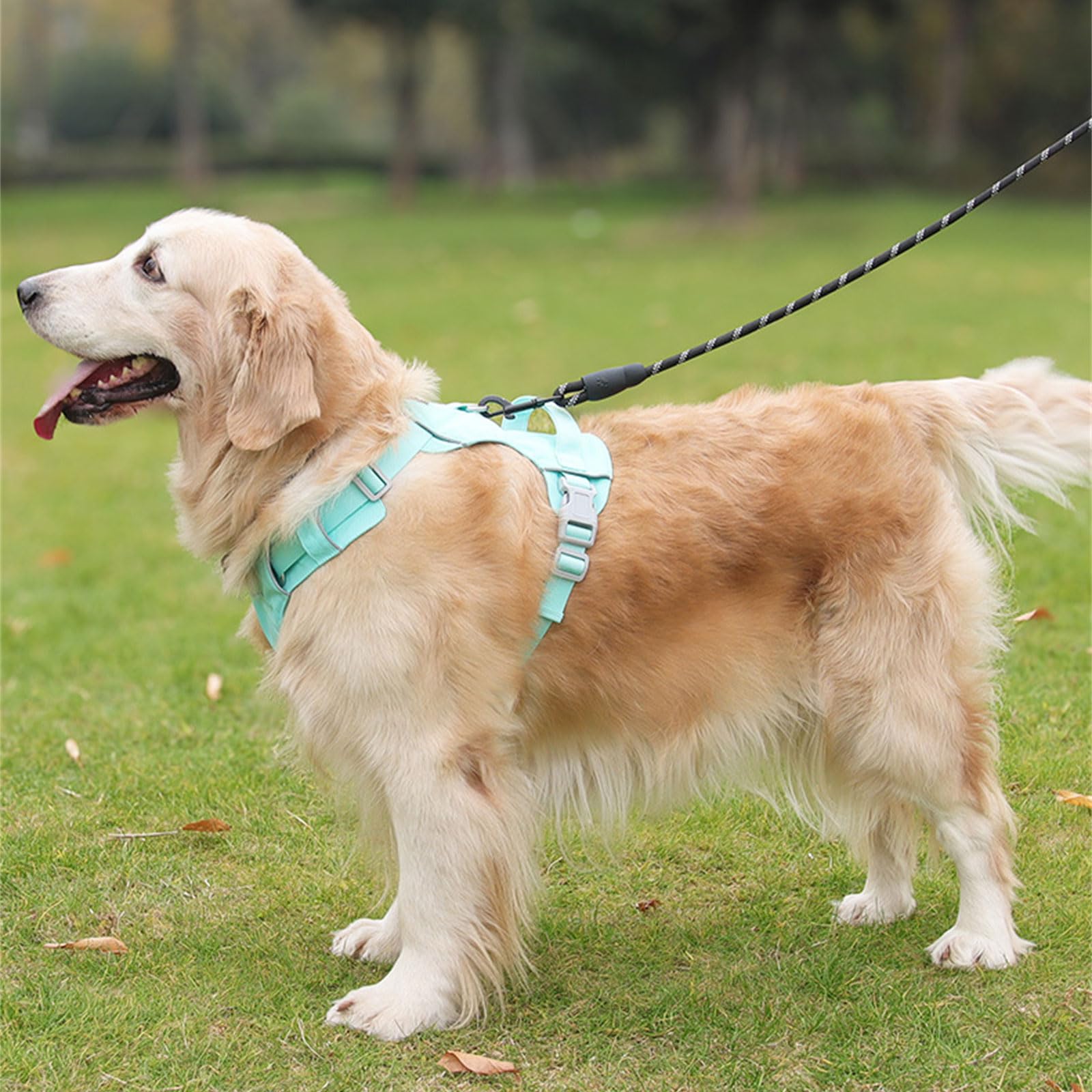 Reflective Dog Harness For Large Breeds – Adjustable Chest Strap For Running, Biking, Hiking