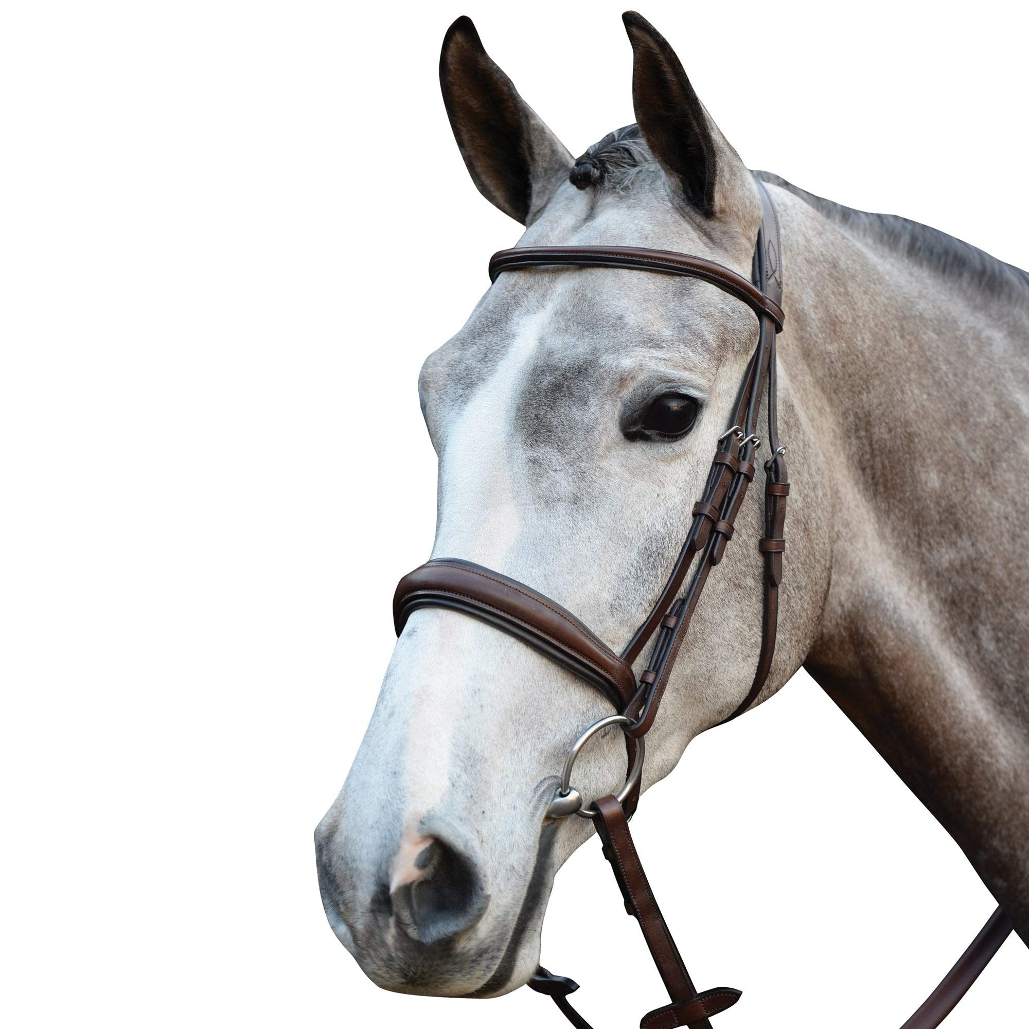 Collegiate Mono Crown Padded Raised Cavesson Bridle, Brown, Warmblood