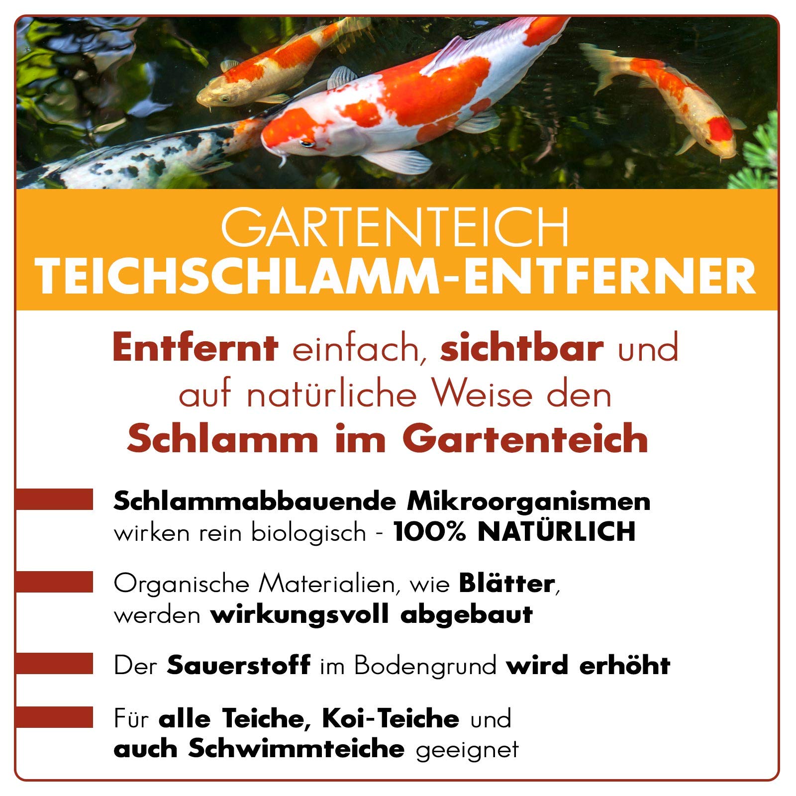 AQUAbasics Gartenteich Teichschlamm-Entferner baut im Teich Schlamm, Mulm und Organische Stoffe (Blätter) natürlich ab, Größe:2.5 kg