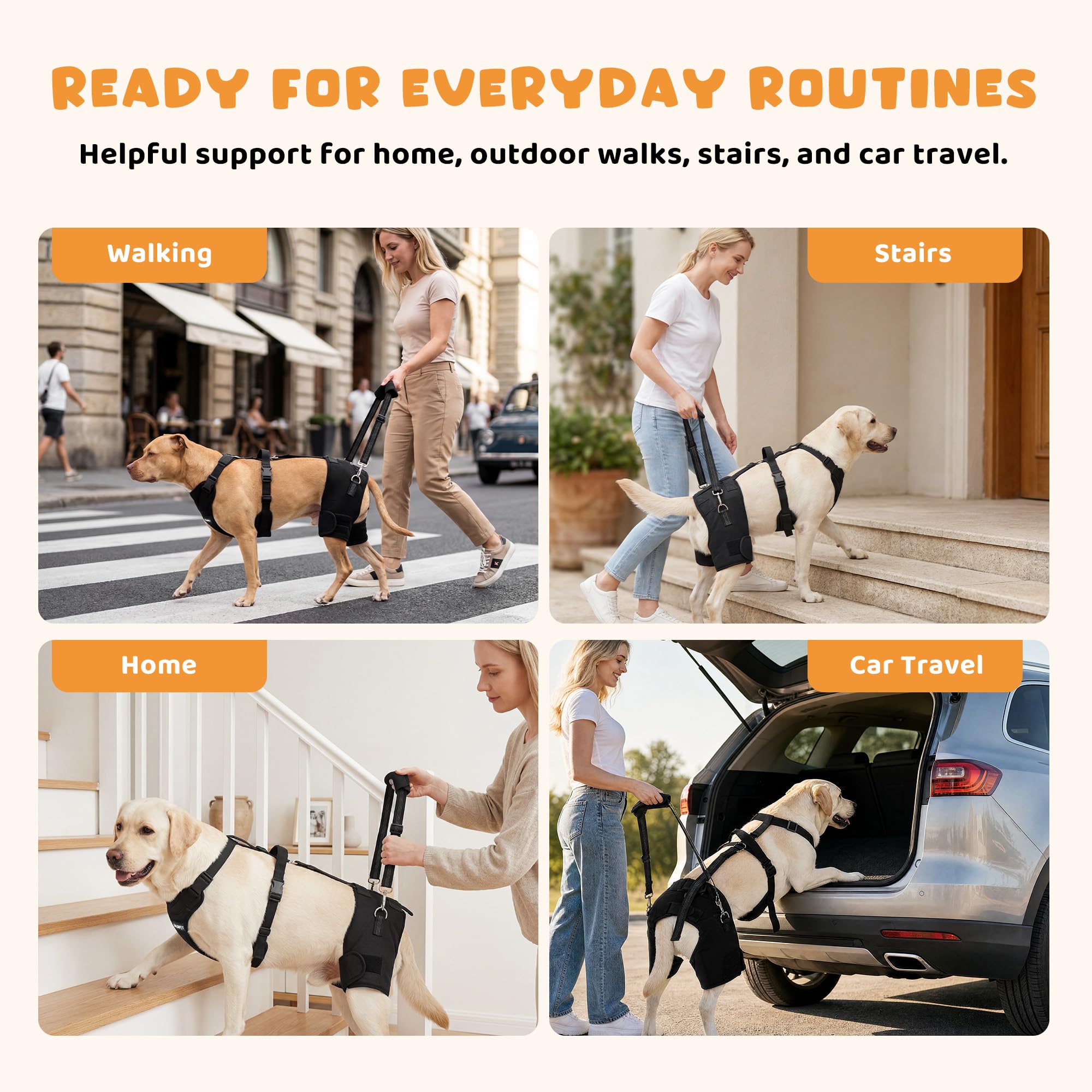 BALAPET BALAPET - Arnés de soporte de cadera para perro con mango de elevación, soporte de cadera ajustable para perros grandes, almohadillas suaves extraíbles para la cadera, arnés de asistencia de