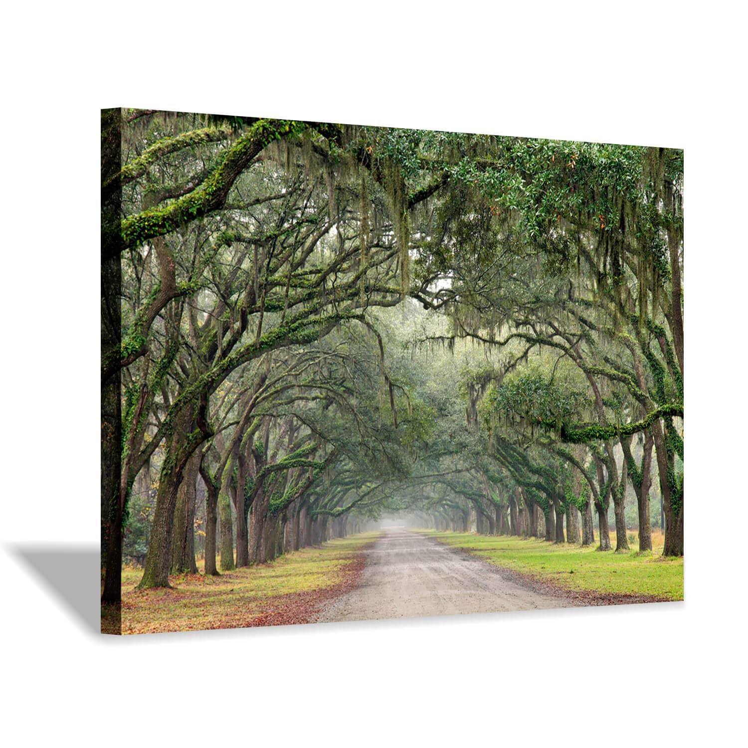 Green Oak Trees Art Painting: Landscape Artwork Forest Picture Print on Canvas Wall Art for Living Rooms (36"x24")