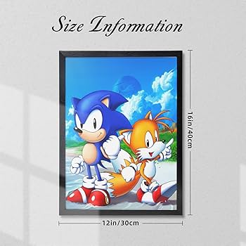 ソニック・ザ・ヘッジホッグ アートイラスト サイン入り シリアルナンバー入り Amazon.co.jp: ソニック・ザ・ヘッジホッグ アートパネル アート