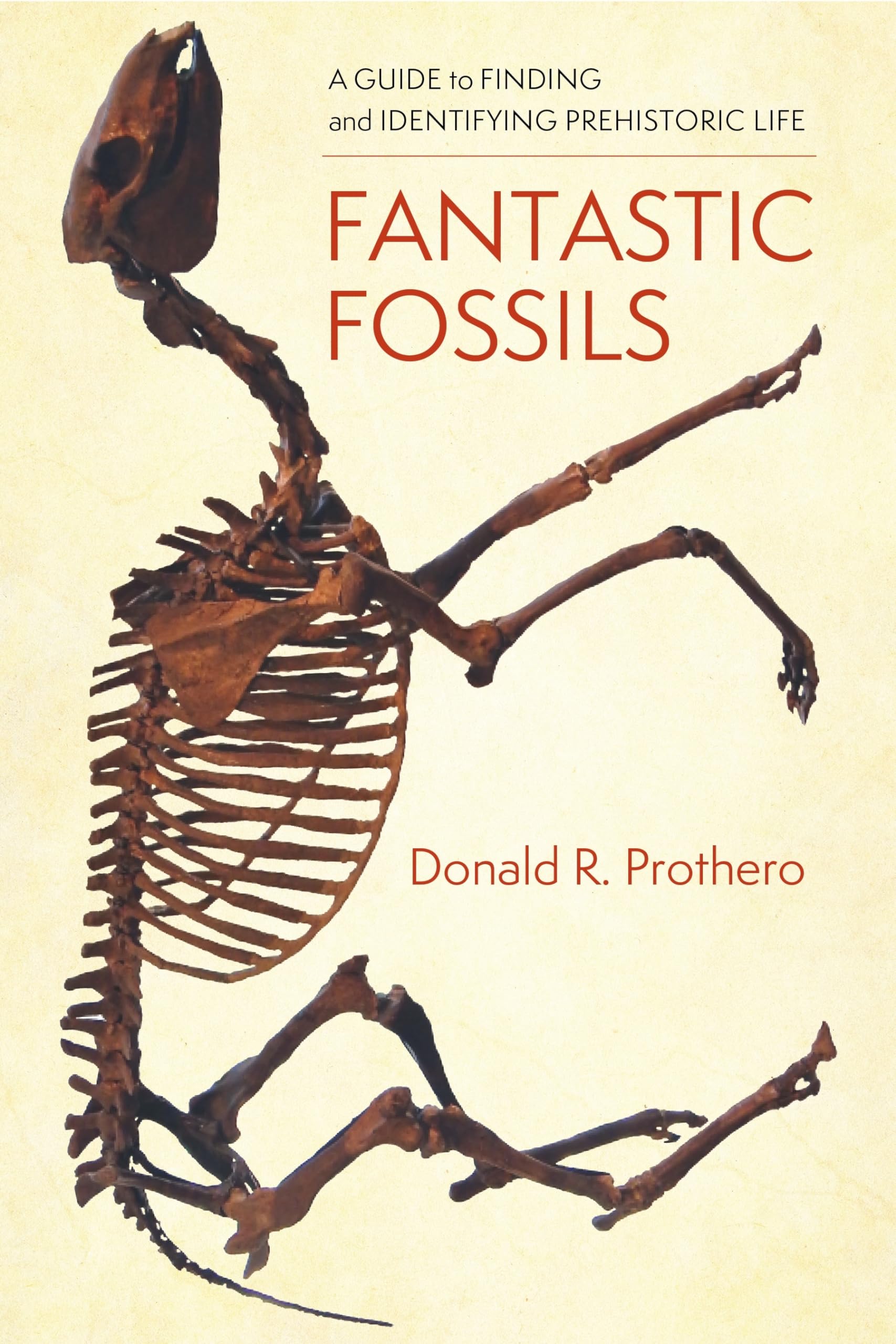 Fantastic Fossils: A Guide to Finding and Ident, Prothero^+