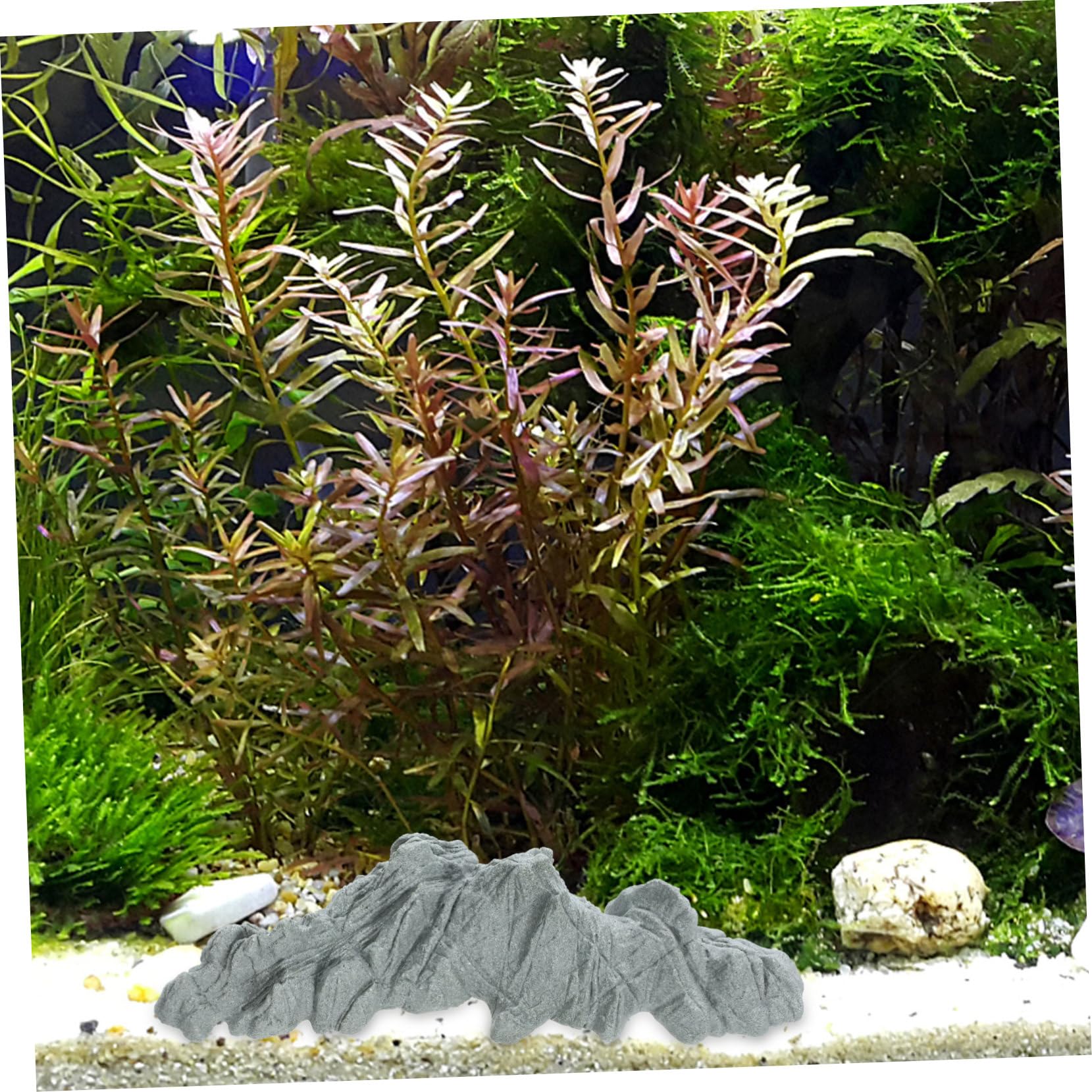 Mipcase 5pièces Décoration De Faux pour Aquarium Ornement Résine pour Poissons Et Plantes Statue De Compacte