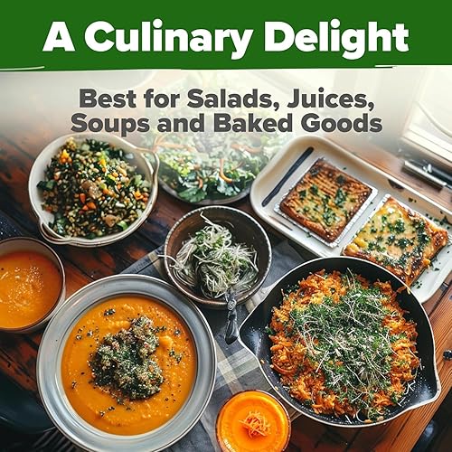 Miniatura 181 de HOME GROWN Paquete de 94 semillas de pimiento de plátano sin OMG, semillas de vegetales tradicionales de alta germinación para plantar en interiores