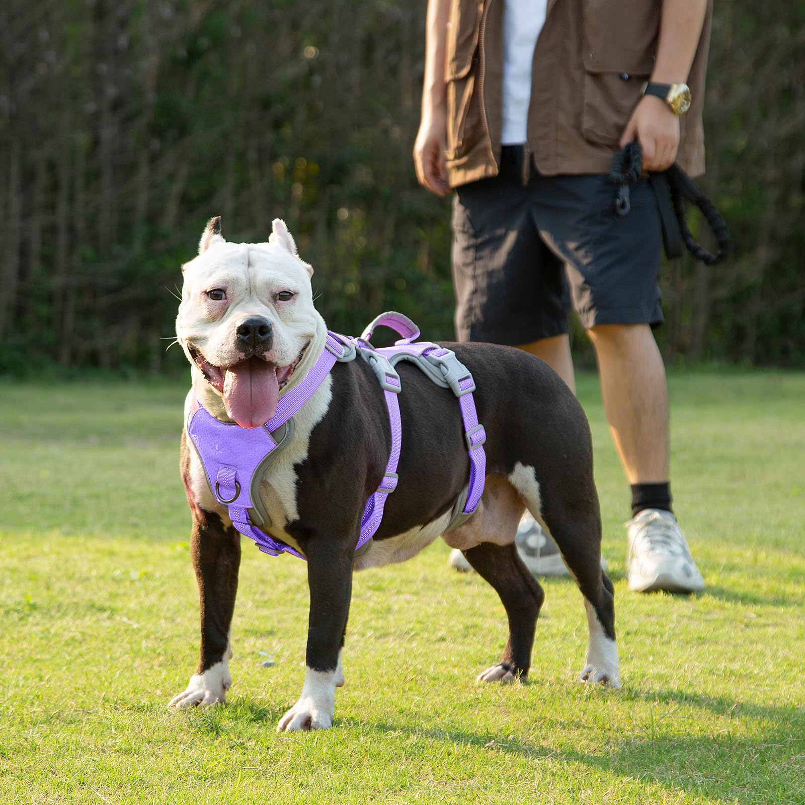 Huntboo Escape Proof Dog Harness, Escape Artist Harness, Reflective Harness with Padded Handle, Breathable, Adjustable Vest for Medium Dogs Walking, Training, and Running Gear (Lavender Purple,XL) - image 7