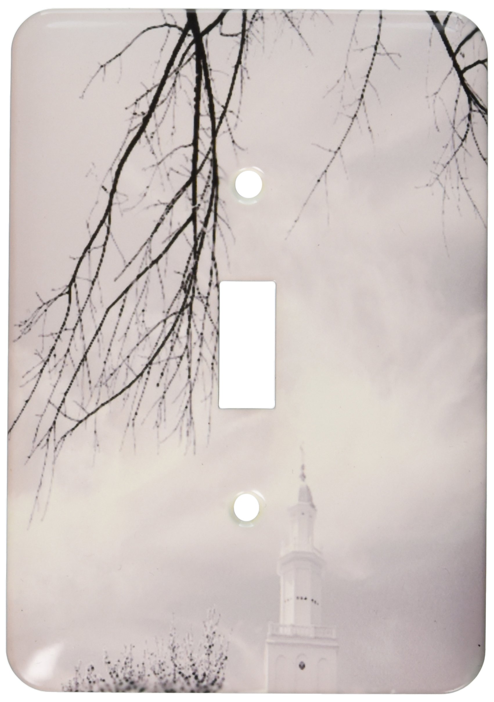 Interrupteur St George LDS Temple noir et blanc 3dRose lsp_47487_1