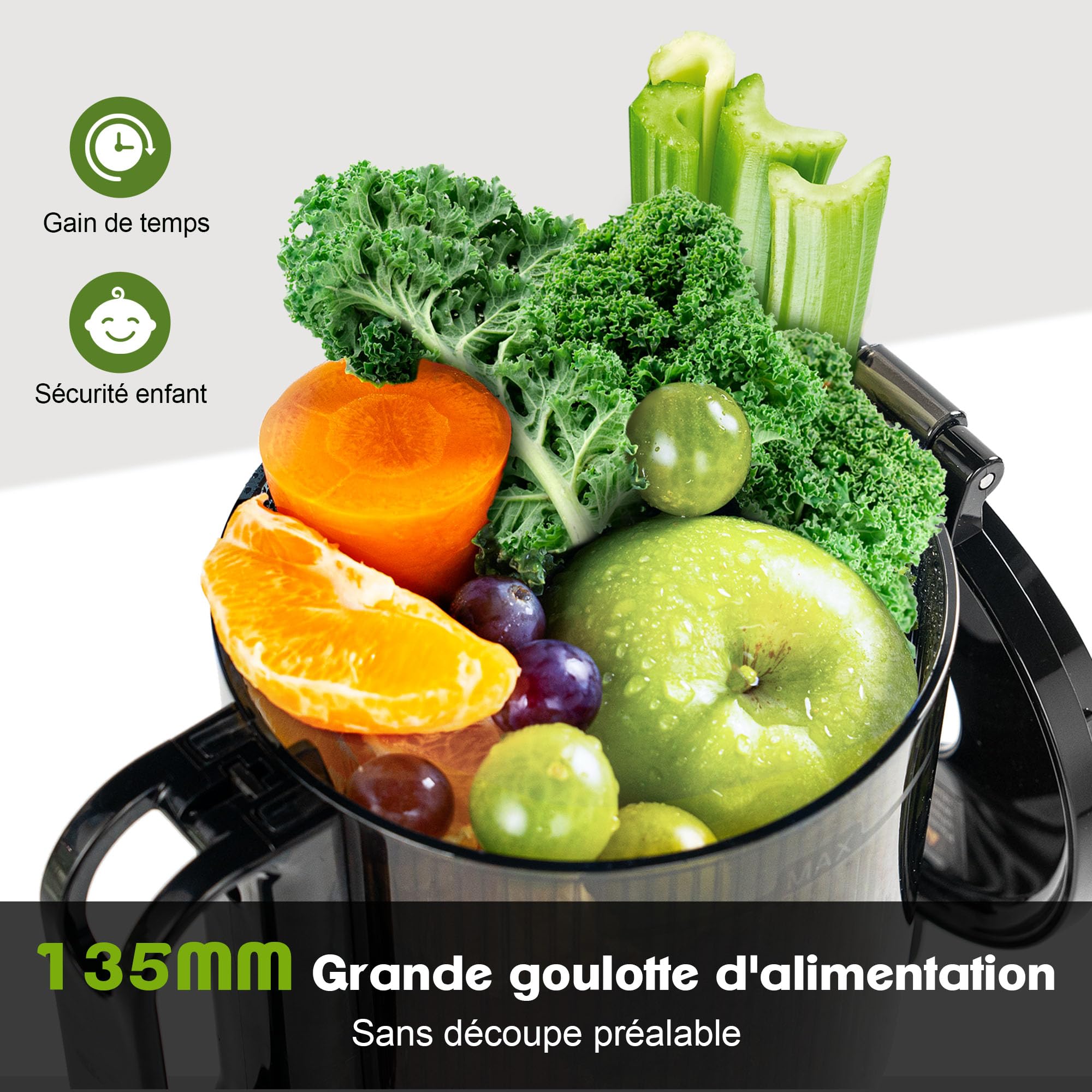 Fretta Extracteur de Jus à Mastication Lente 250W, Grande Goulotte 135mm, Sans BPA, Argenté