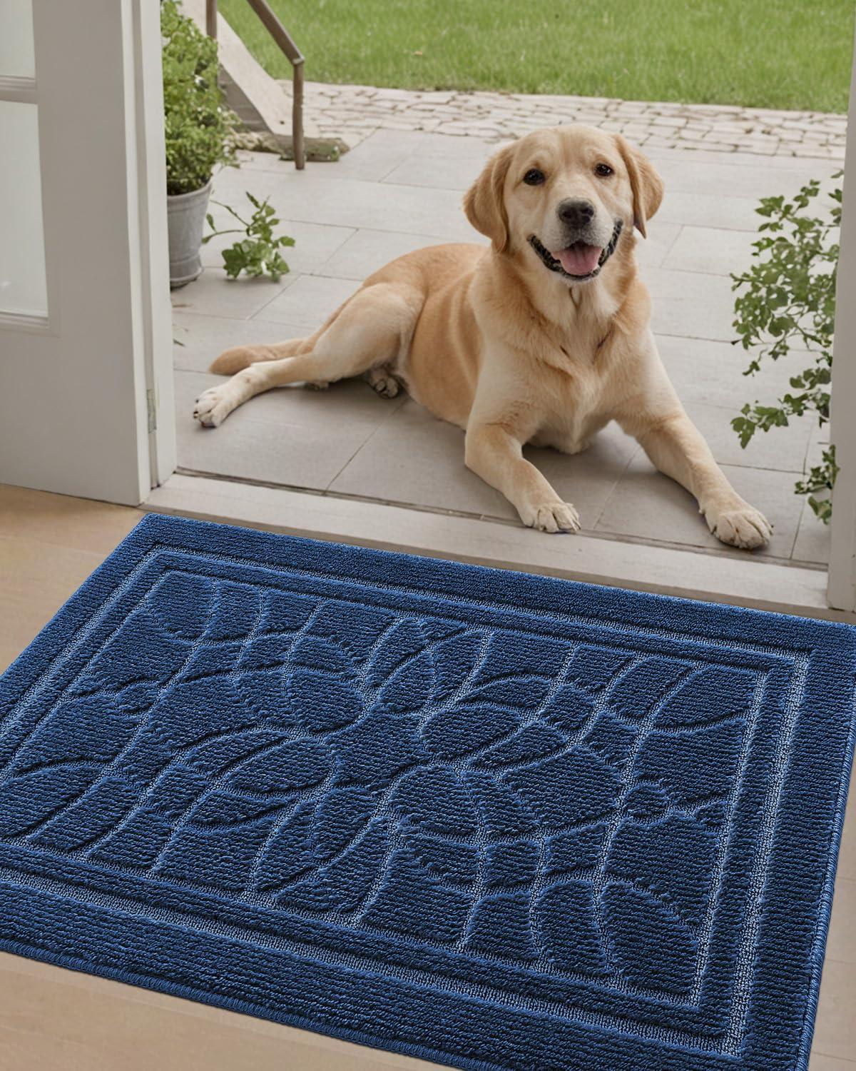 Amazon.com: DEXI Front Door Mat for Home Entrance, 32x48 Non-Slip