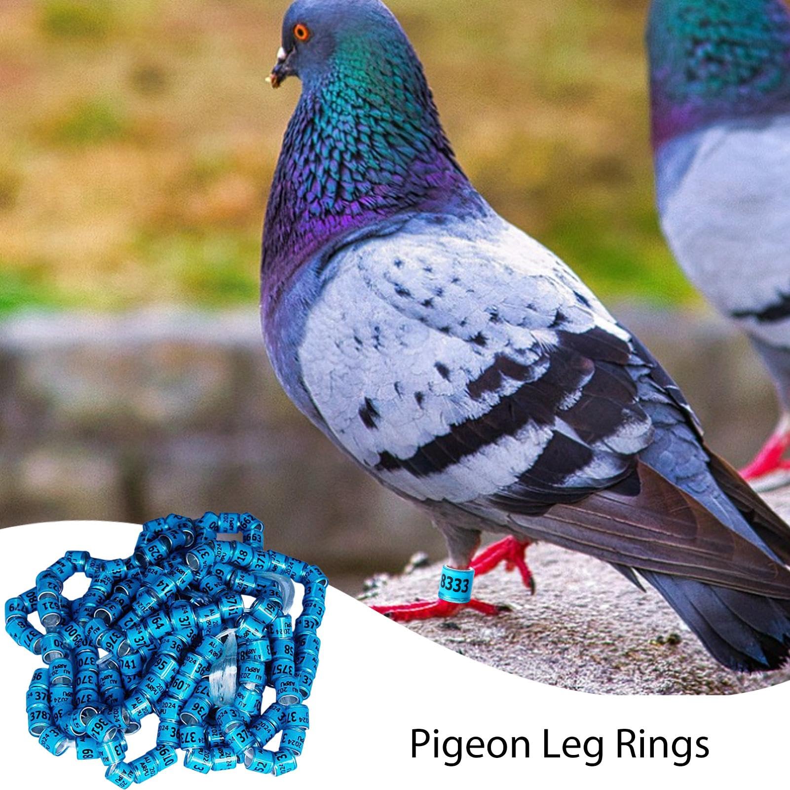 Anelli Di Identificazione Del Piccione, Anelli Di Piccione | 50 Per La | Casetta Sicuri,Forniture Universali Per Piccioni, Bande, Anelli Del Piede ' , Per La Corsa,