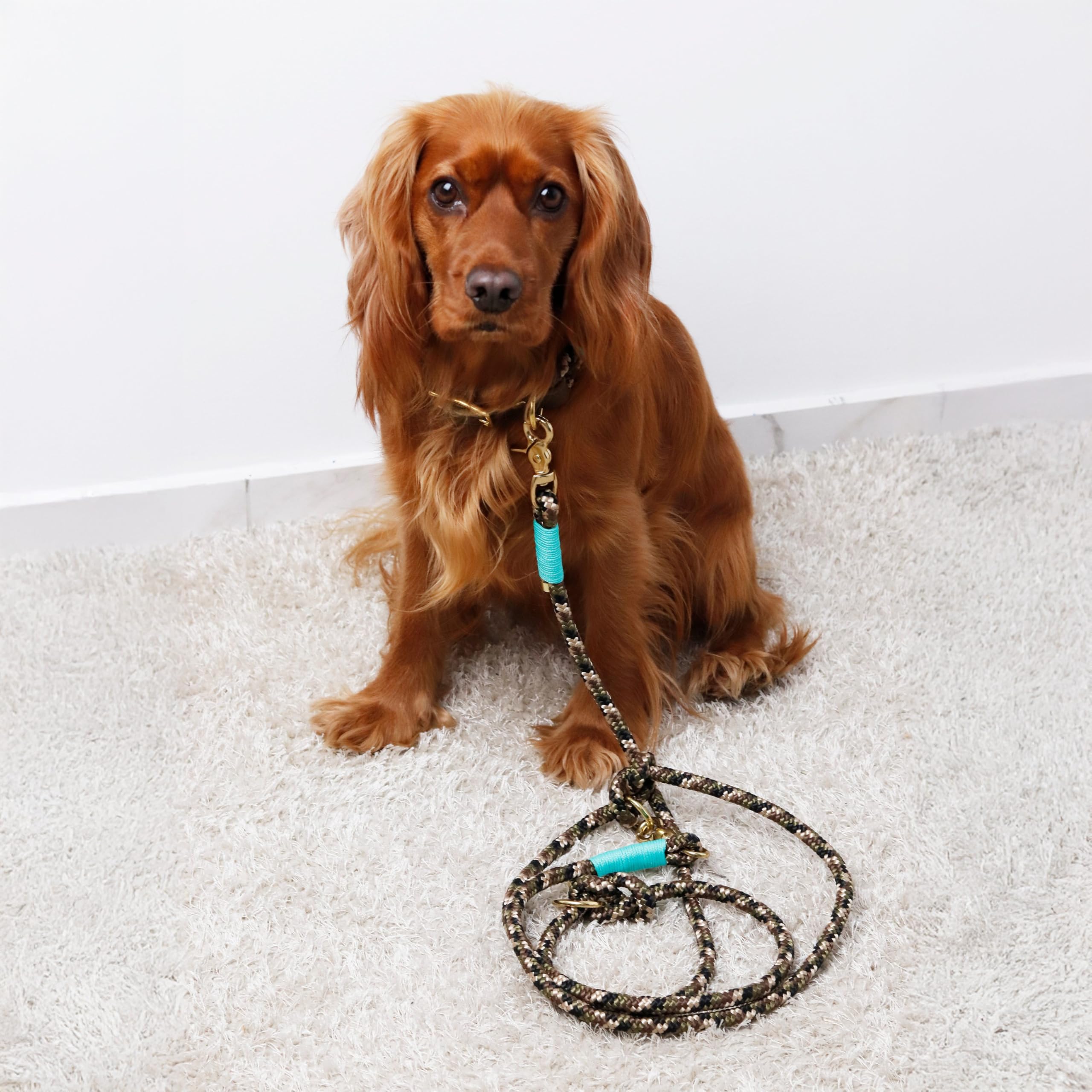 LAUBLUST Handgemachte Paracord-Hundeleine 2 Meter - 2-Fach verstellbar | Handgefertigte Leine für Hund - Hundeleine als Geschenk für Hundebesitzer | Waschbare Tauleine (Grün, S, M, L | 10 mm)